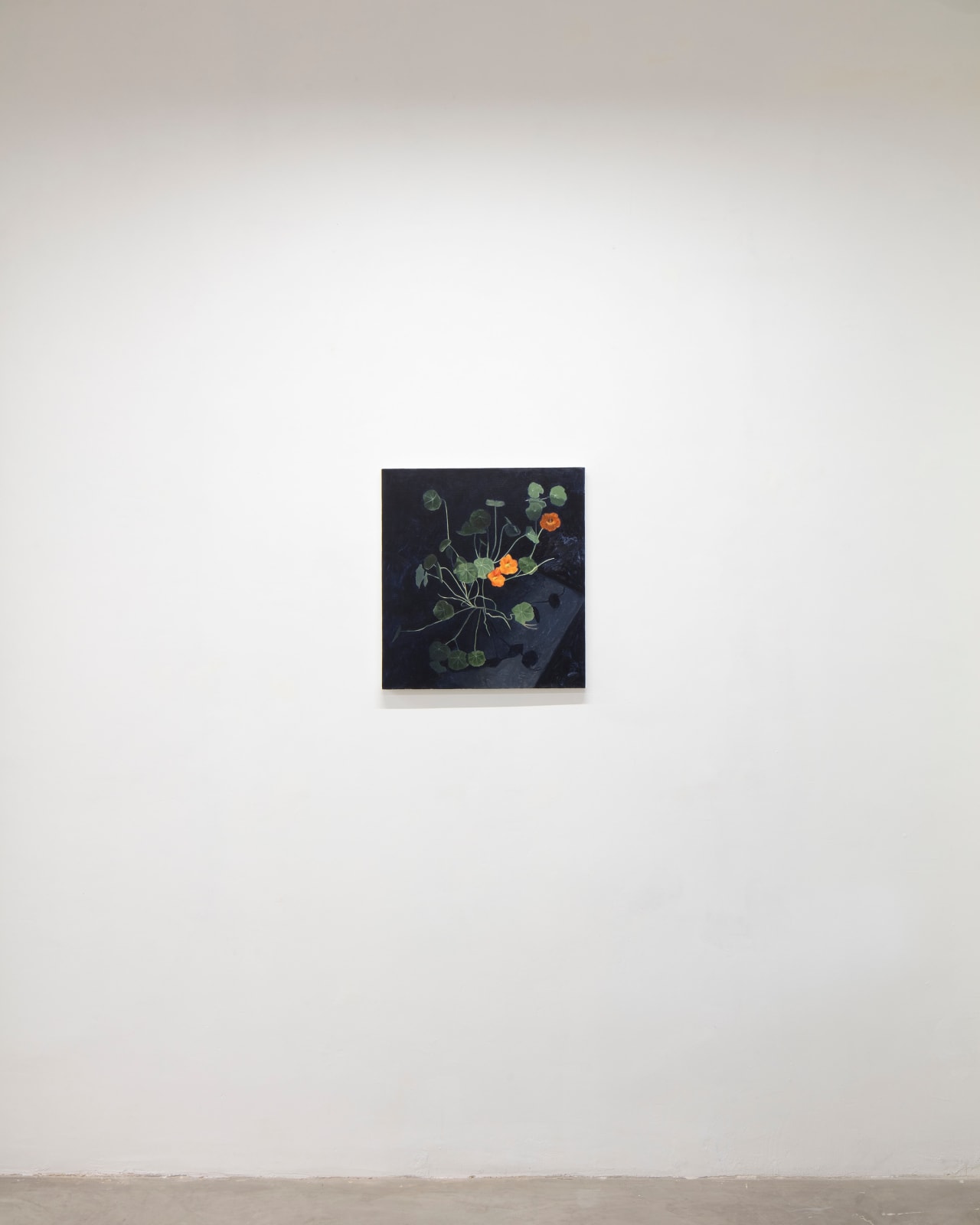 Alicia Ayanegui, Mastuerzos nocturnos, 2025