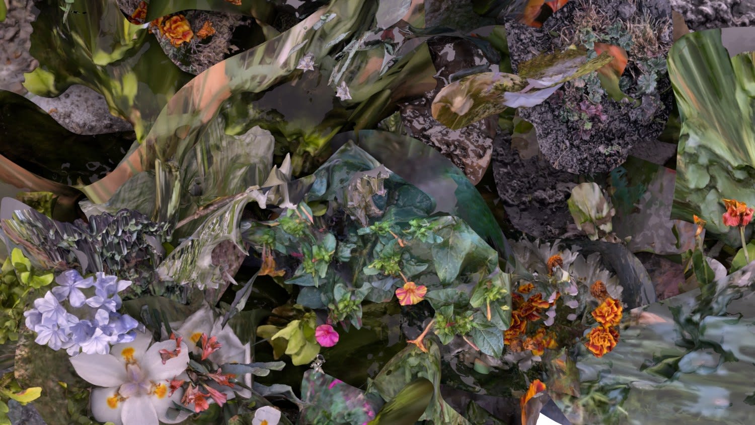 Julieta Gil & Sofía Acosta, Flora, 2021