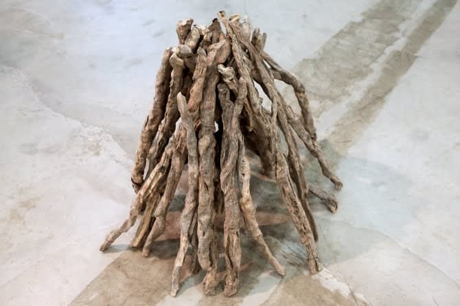 Gordon Cheung, Firewood, 2012