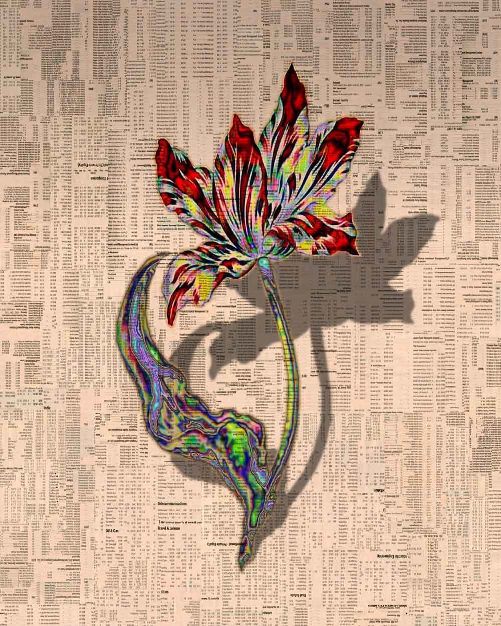 Gordon Cheung, Tulipmania 1-12, 2012