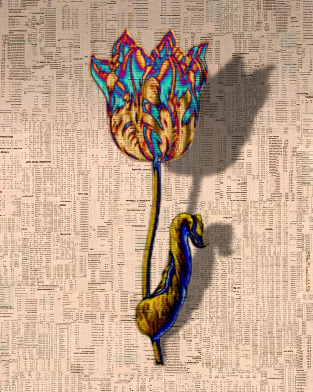 Gordon Cheung, Tulipmania 1-12, 2012