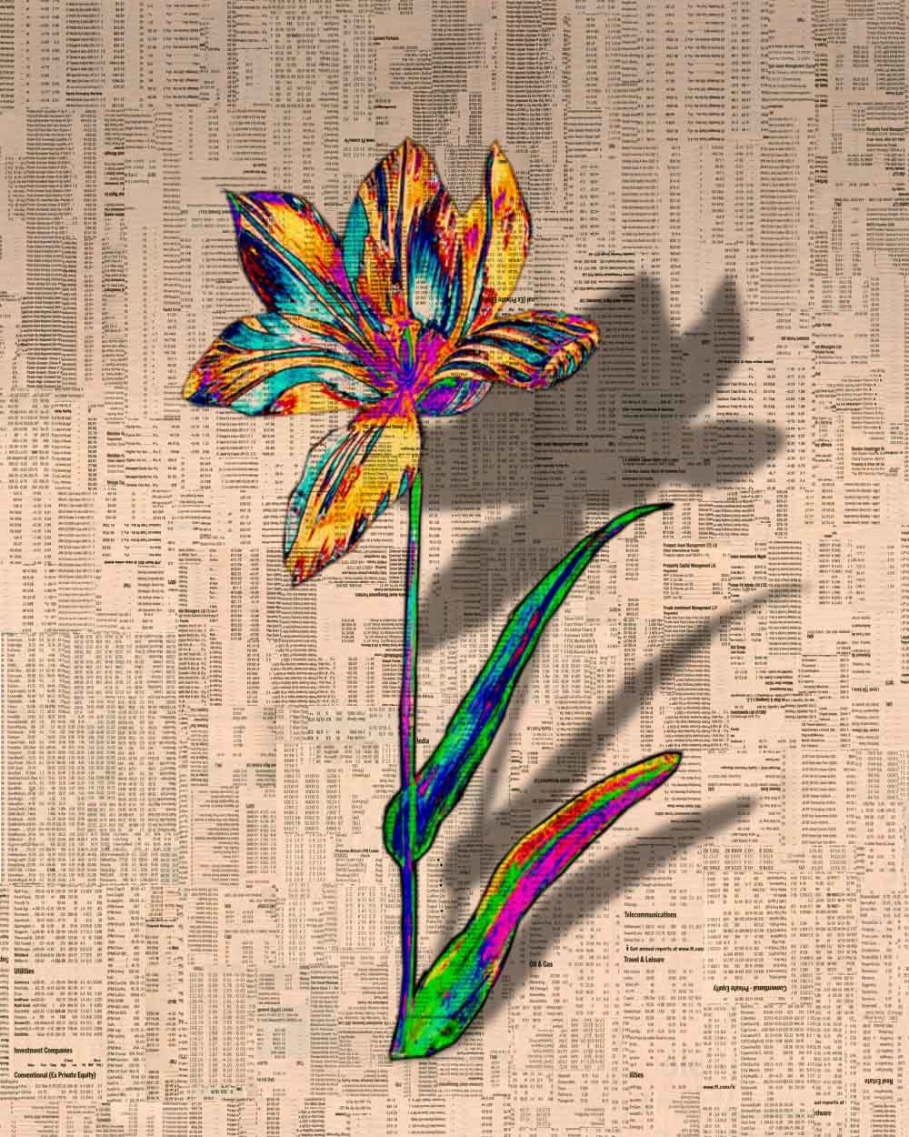 Gordon Cheung, Tulipmania 1-12, 2012