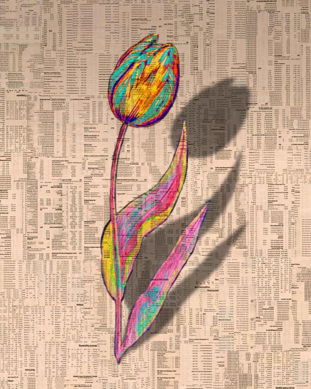 Gordon Cheung, Tulipmania 1-12, 2012