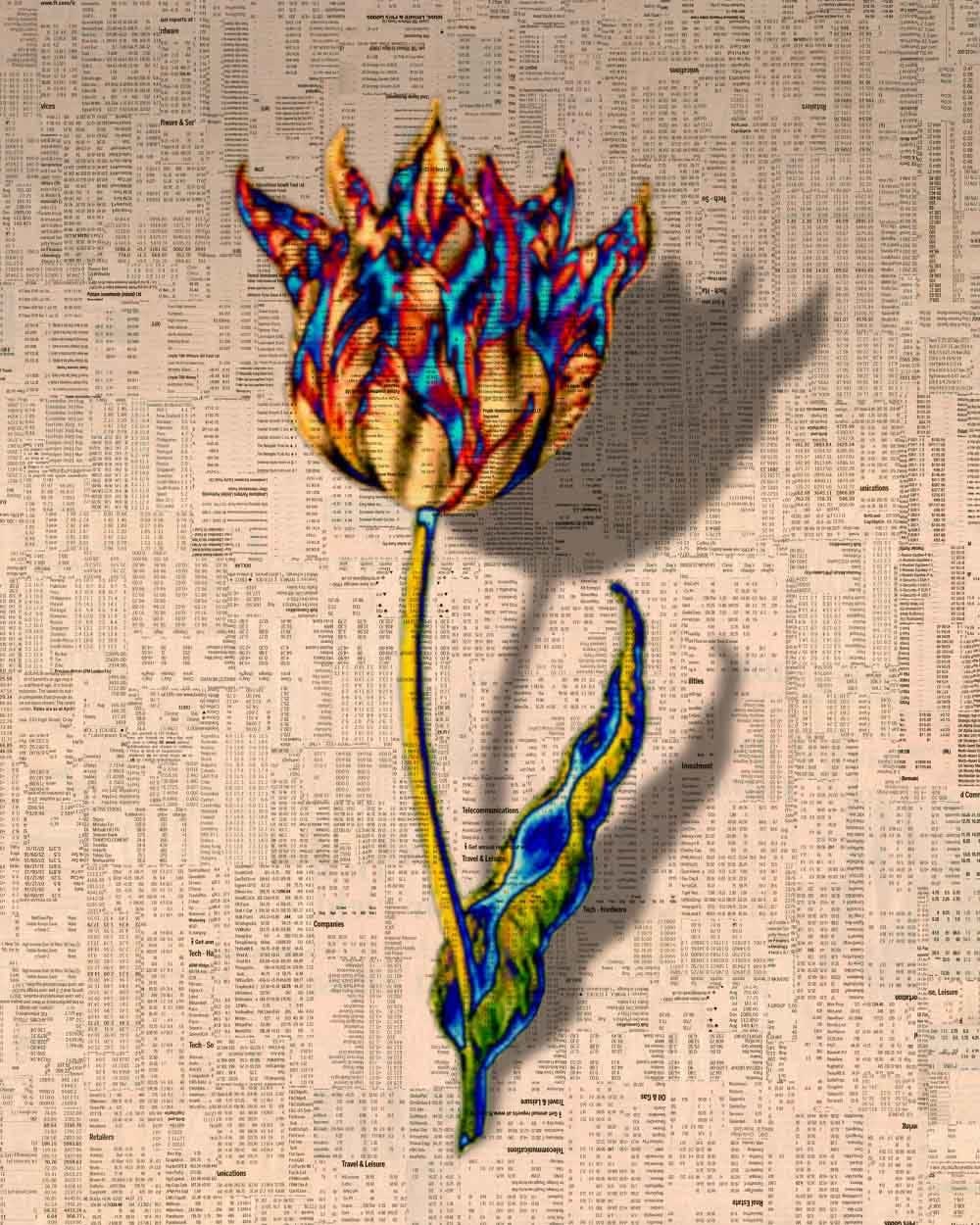 Gordon Cheung, Tulipmania 1-12, 2012