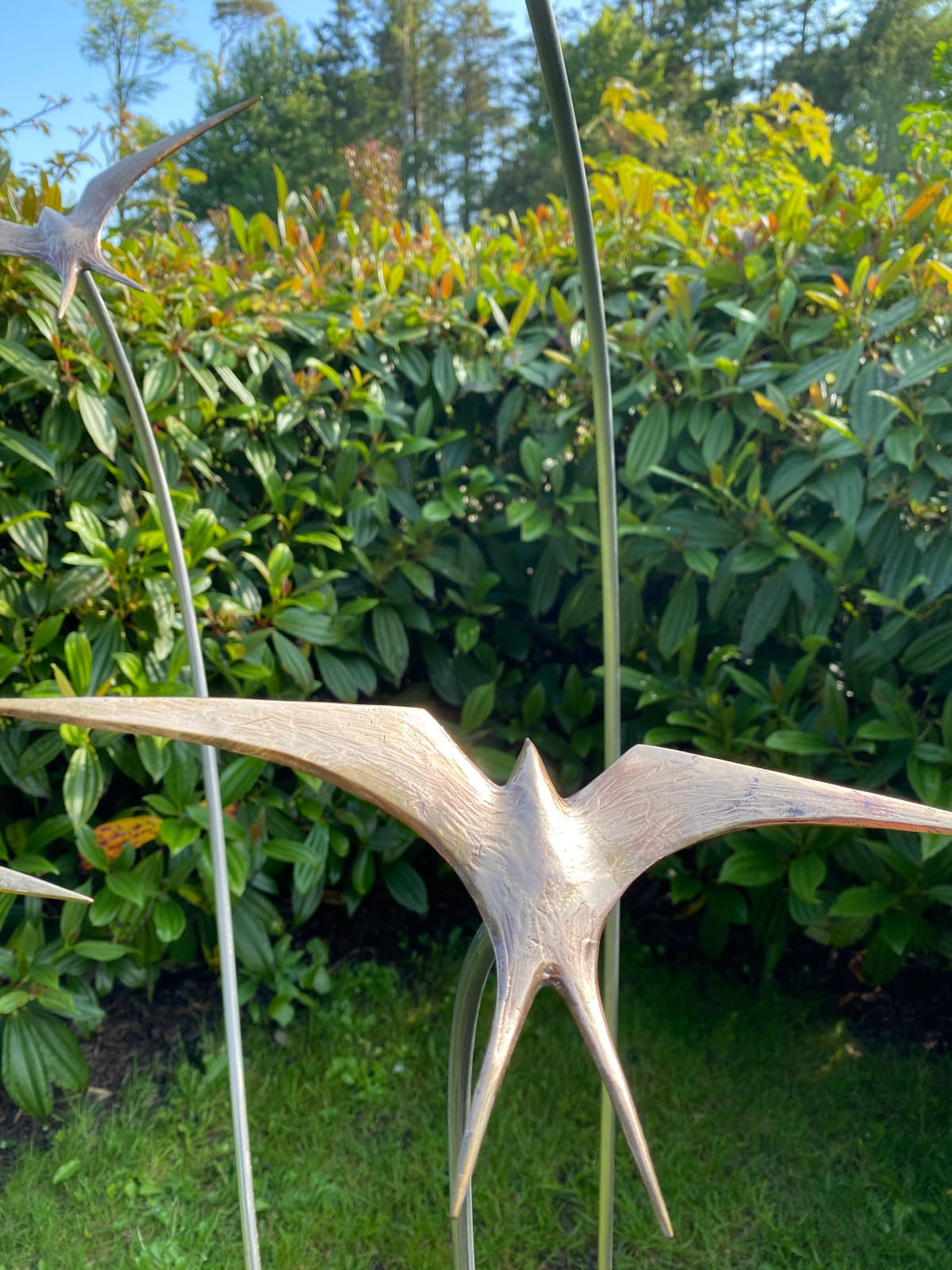 Ian Pollock, Towards Summer Skies