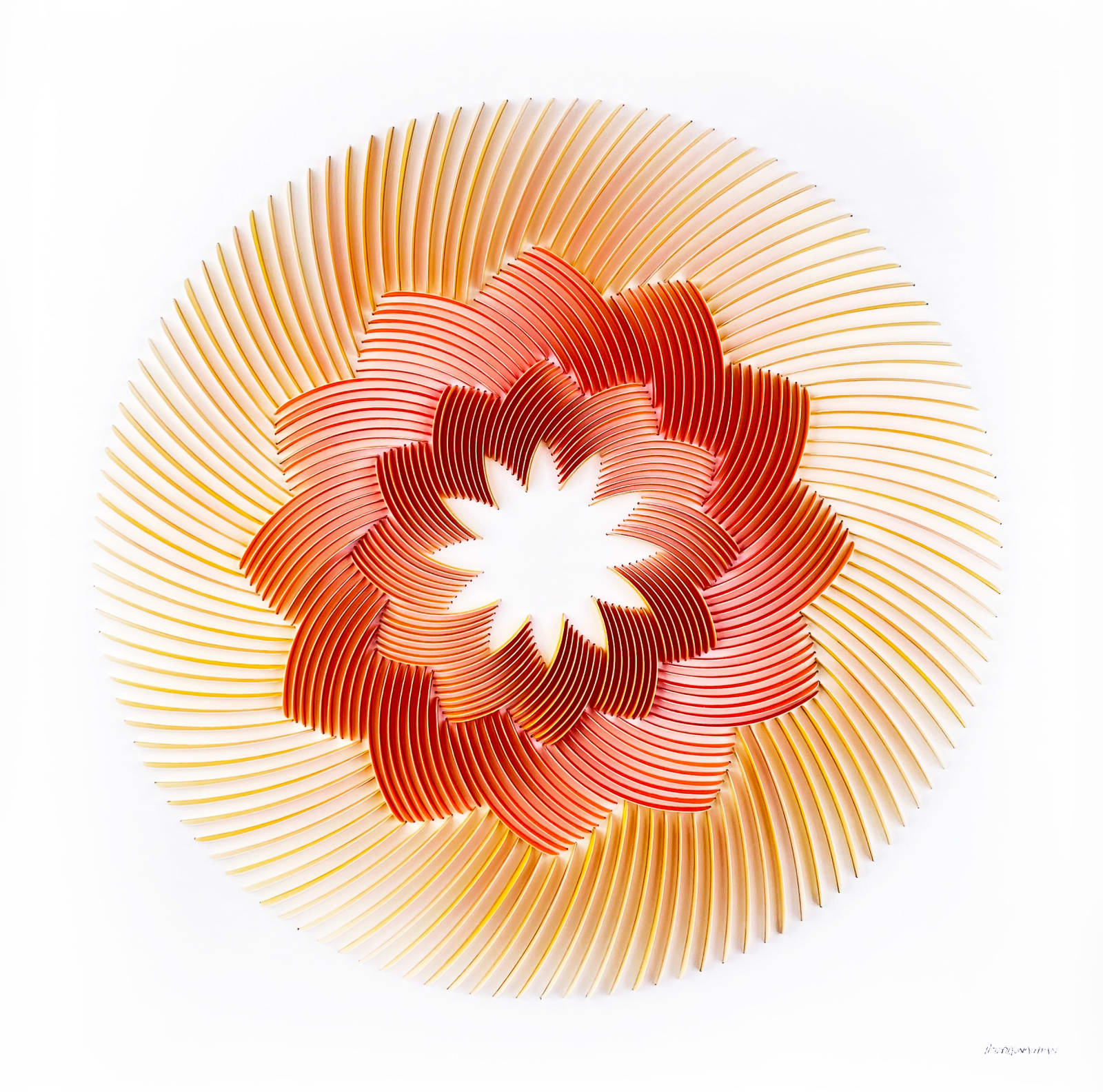 Peter Monaghan, Red and Yellow Rose