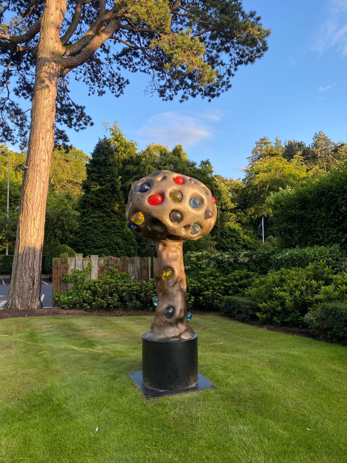 Patrick O'Reilly, Magic Tree