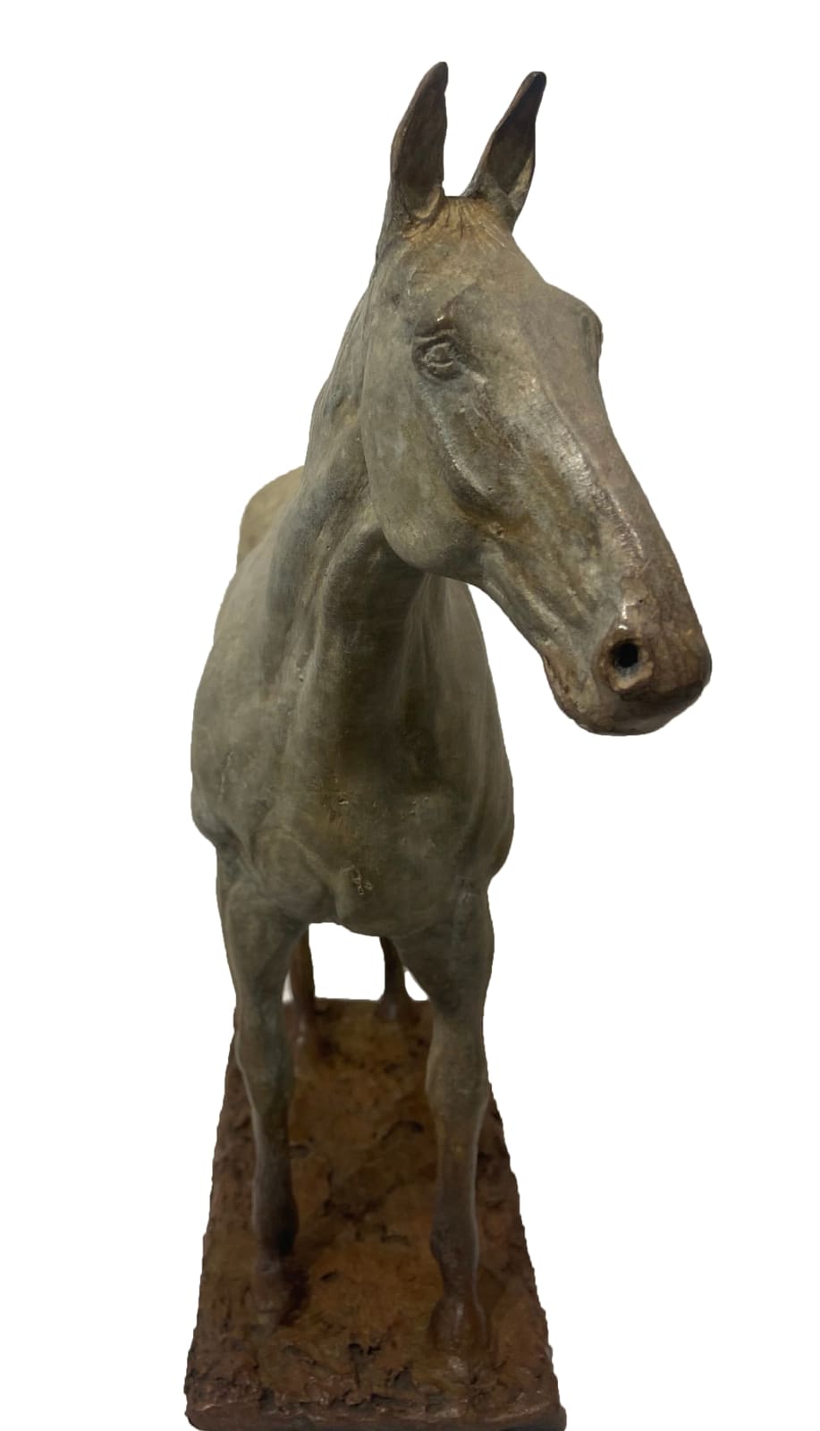 John Fitzgerald, Still