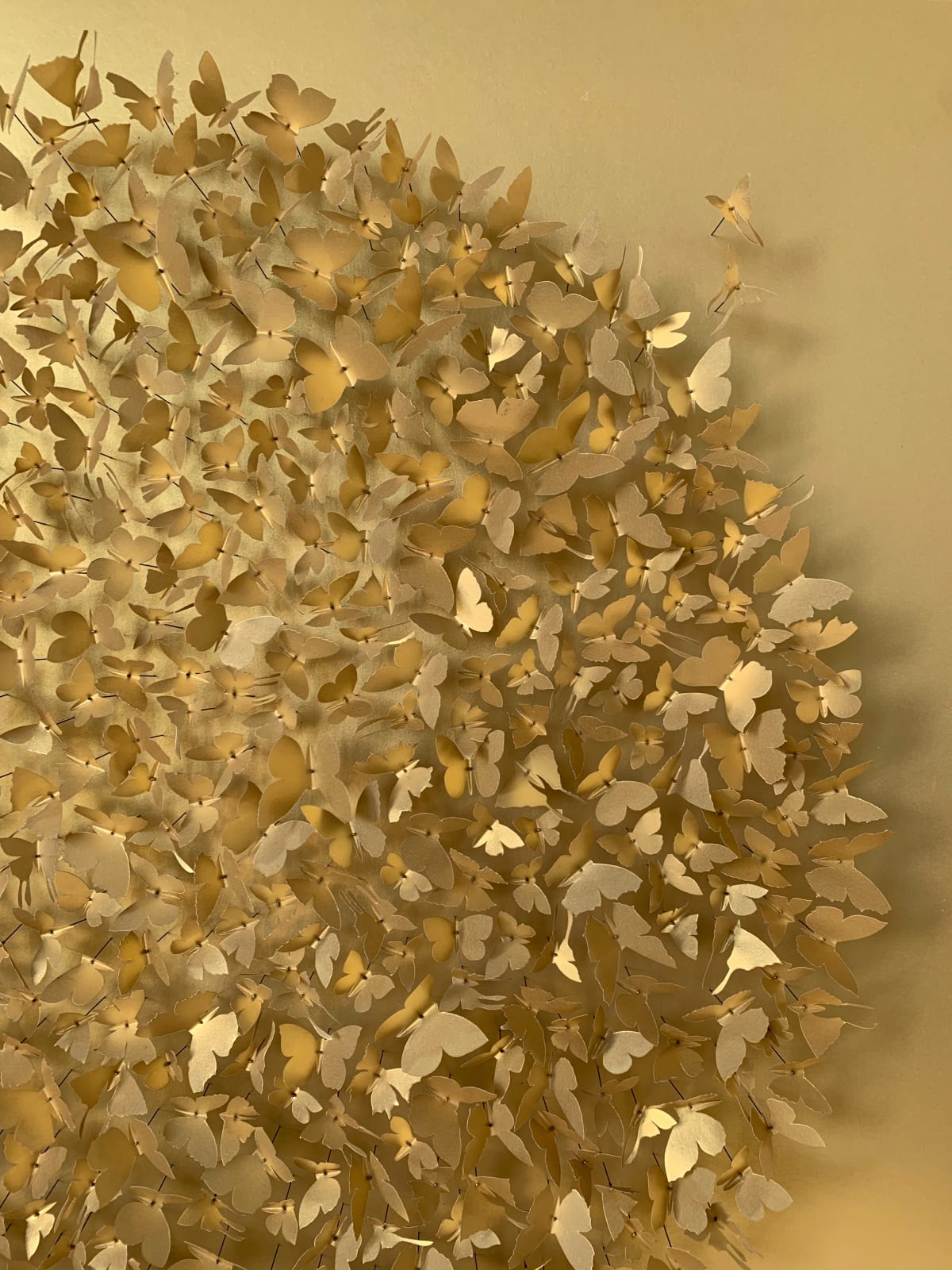 Rebecca J Coles, Gold 02