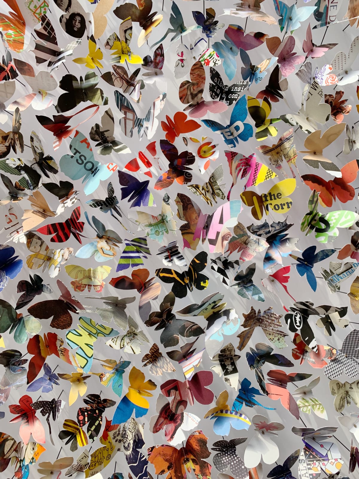 Rebecca J Coles, Albums 01