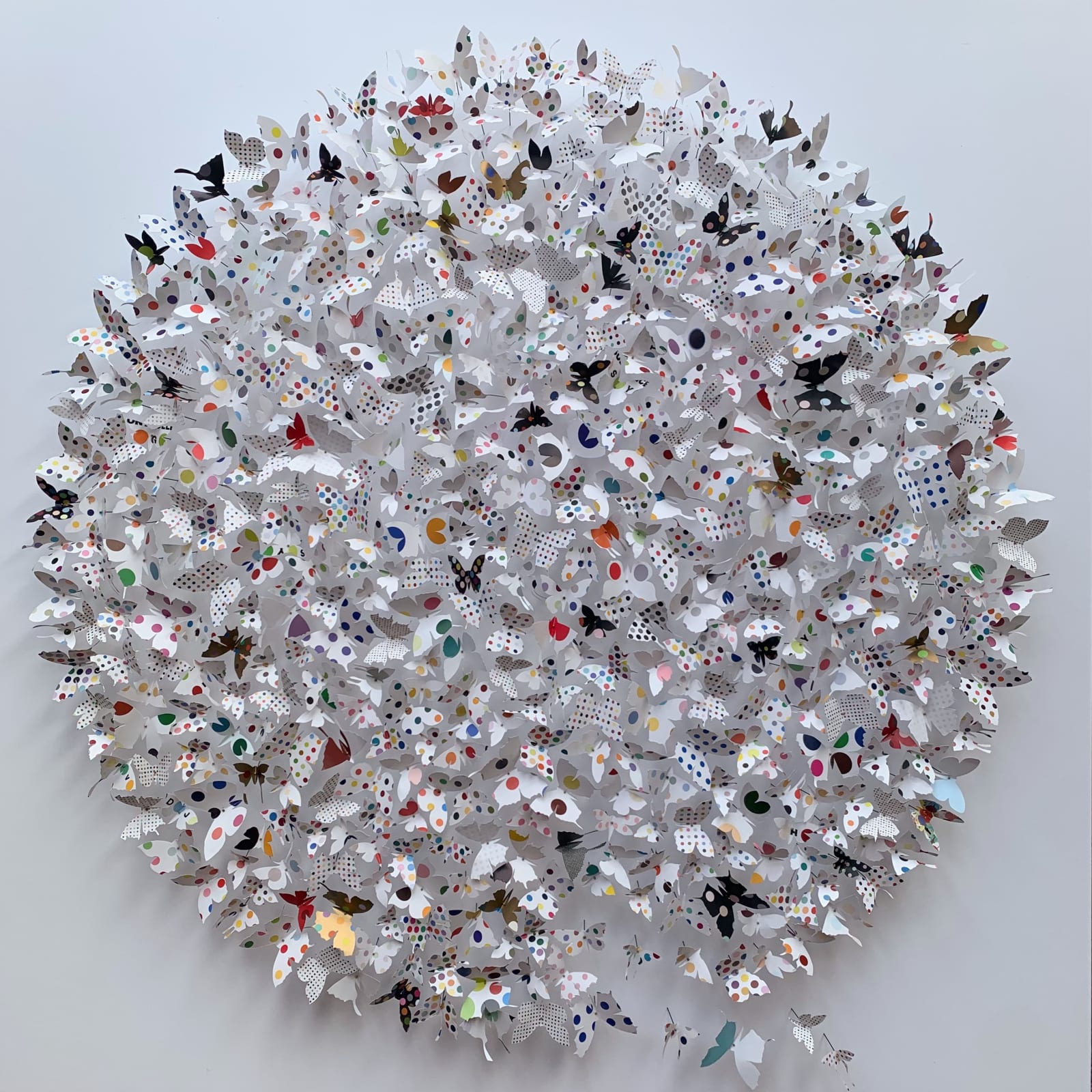 Rebecca J Coles, Spot 02