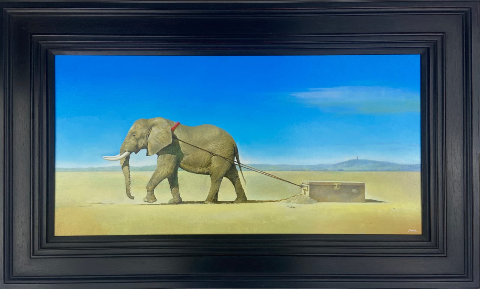 Xander, The Traveller, 2025