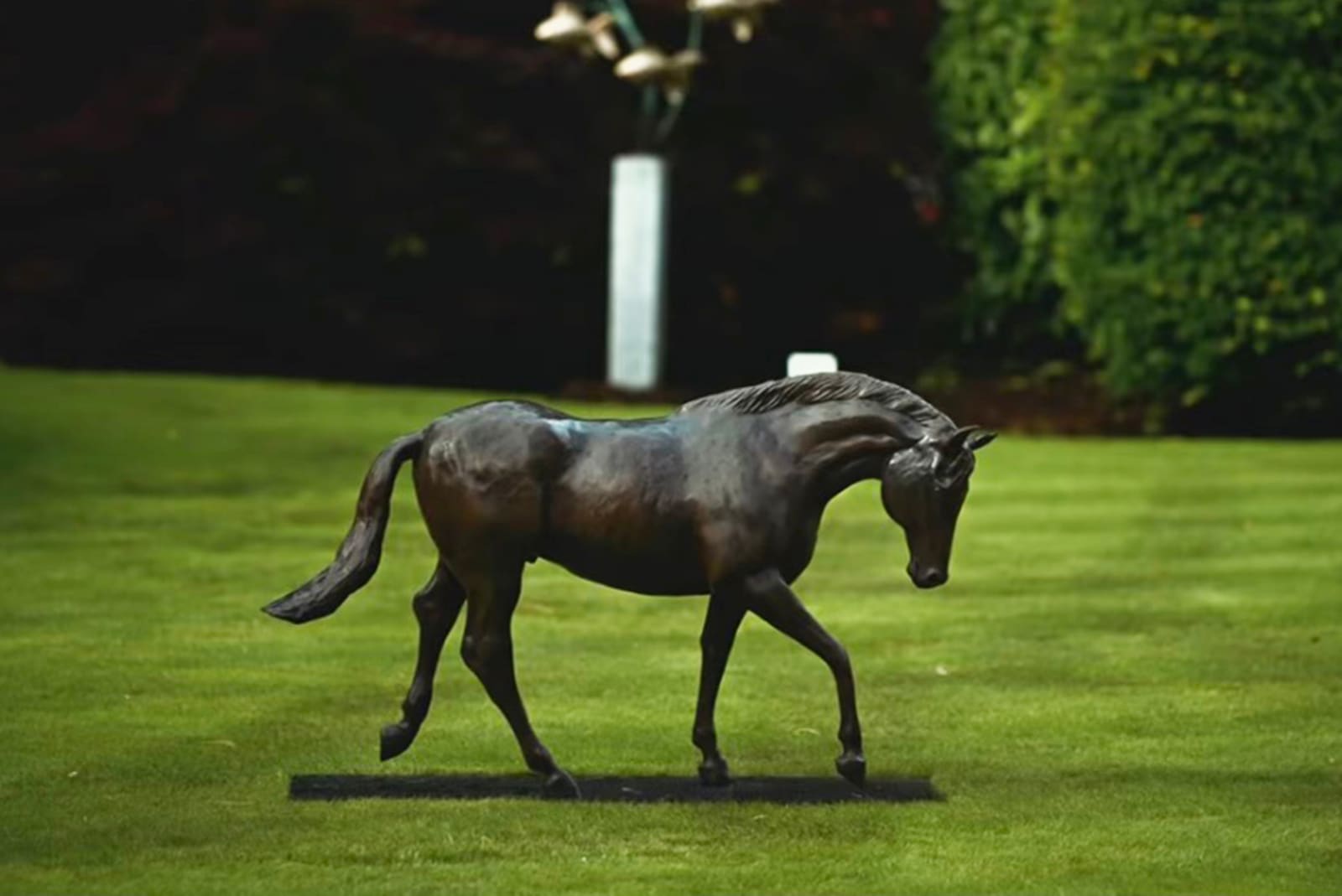 John Fitzgerald, The Stallion