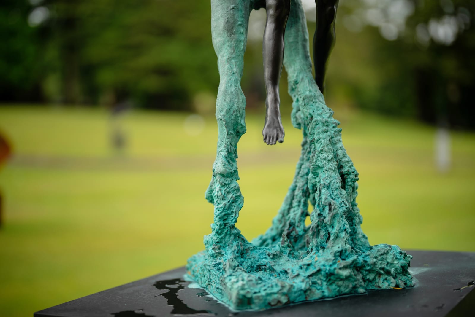 Paddy Campbell, Wind and Sea (Medium)