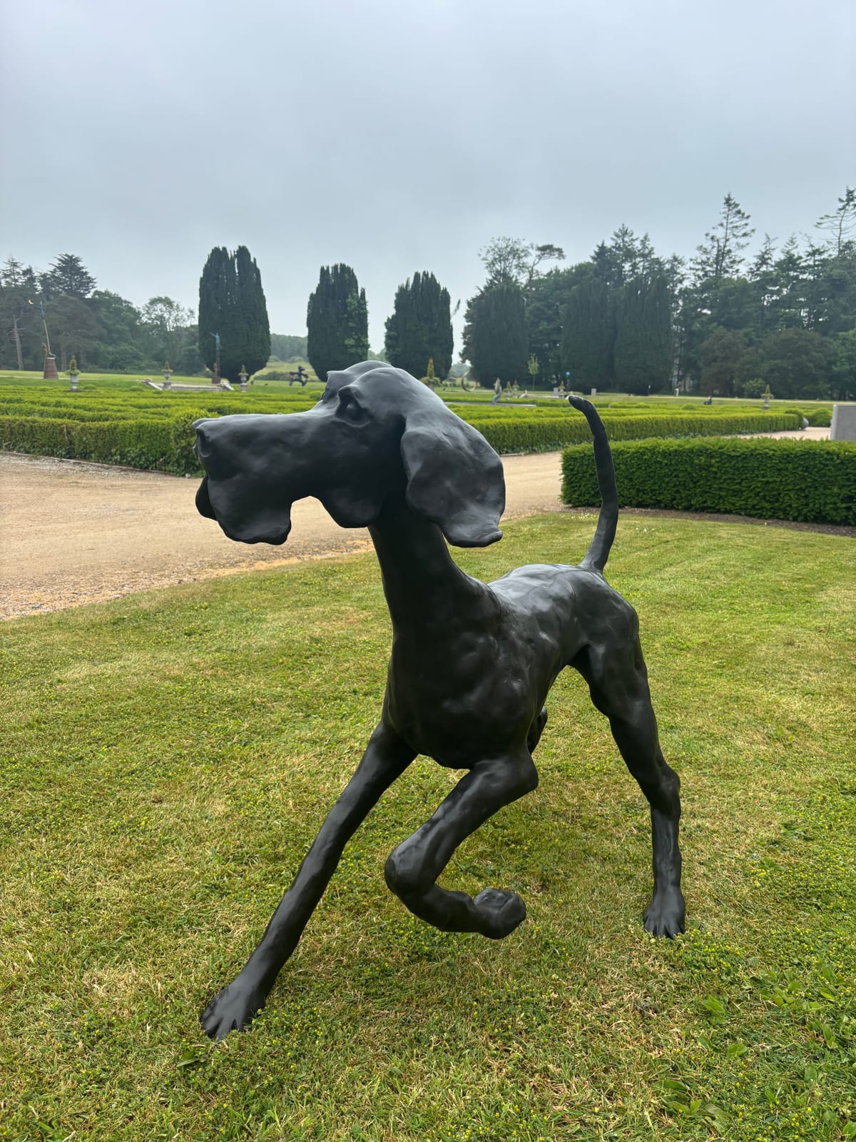 John Fitzgerald, Lucky