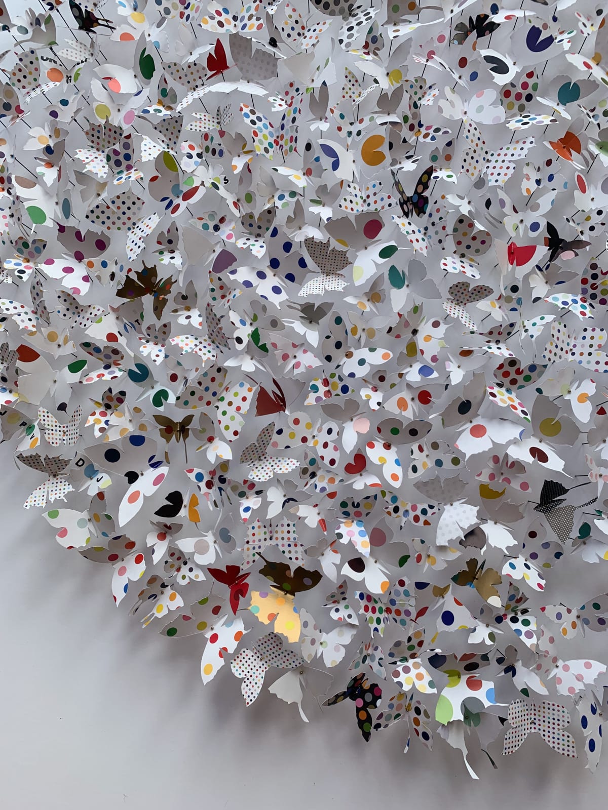 Rebecca J Coles, Spot 02