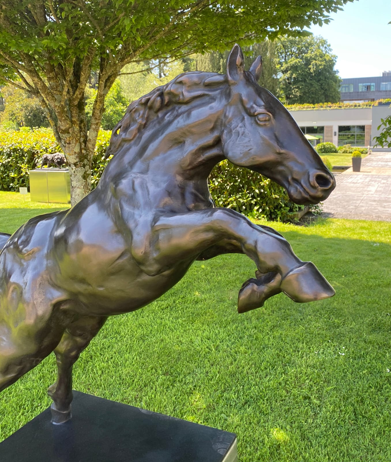 John Fitzgerald, Leap of Faith