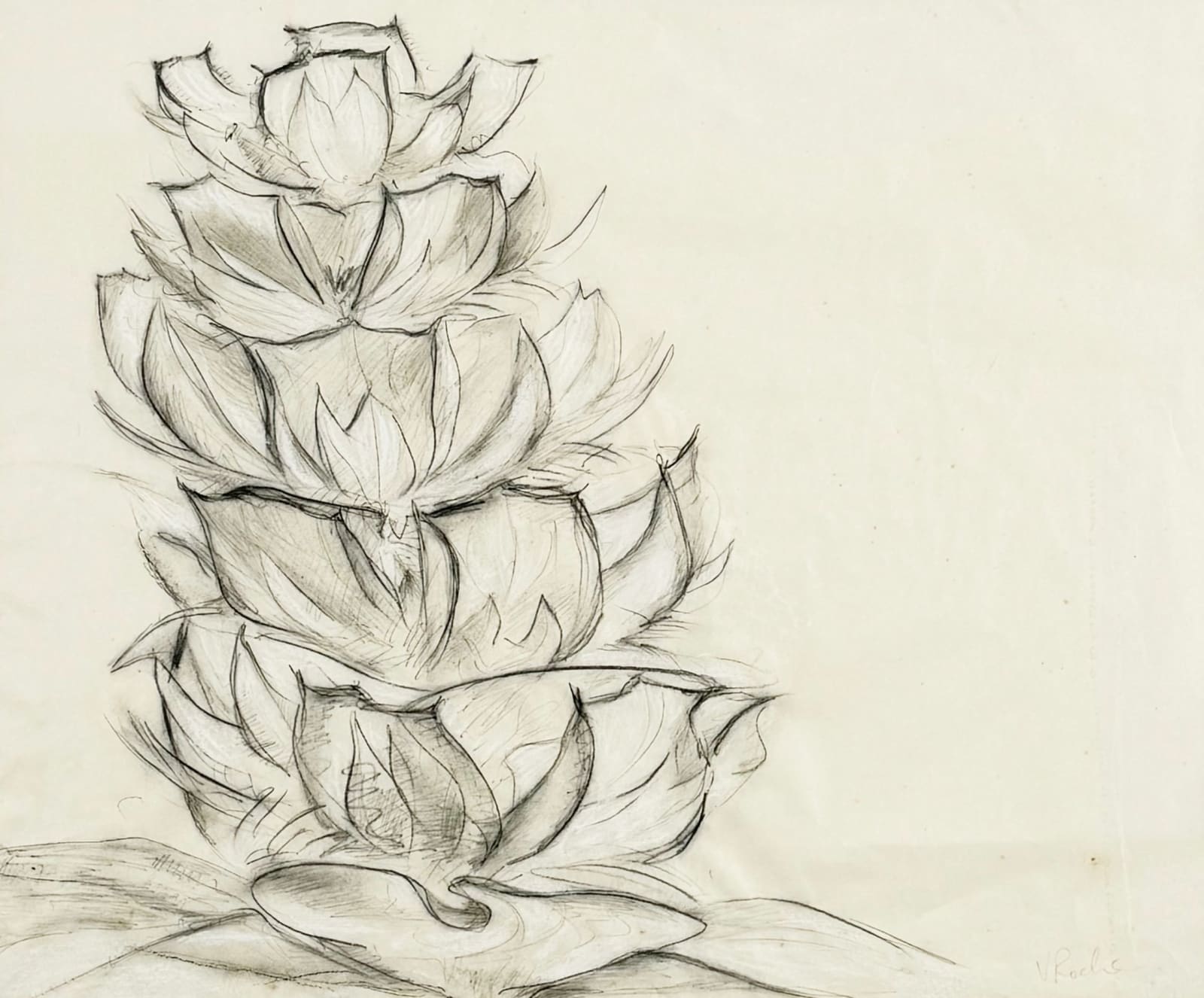 Vivienne Roche, Paper Thin