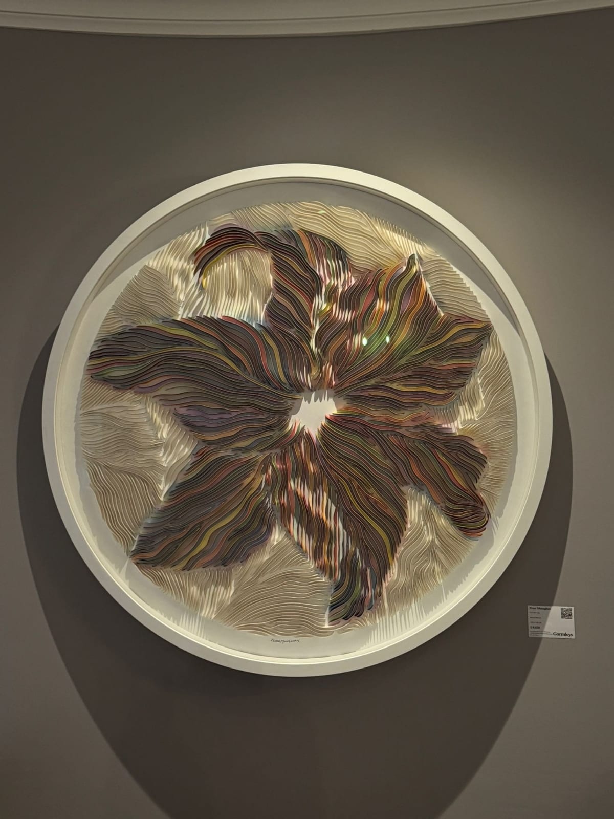 Peter Monaghan, Circular Lily