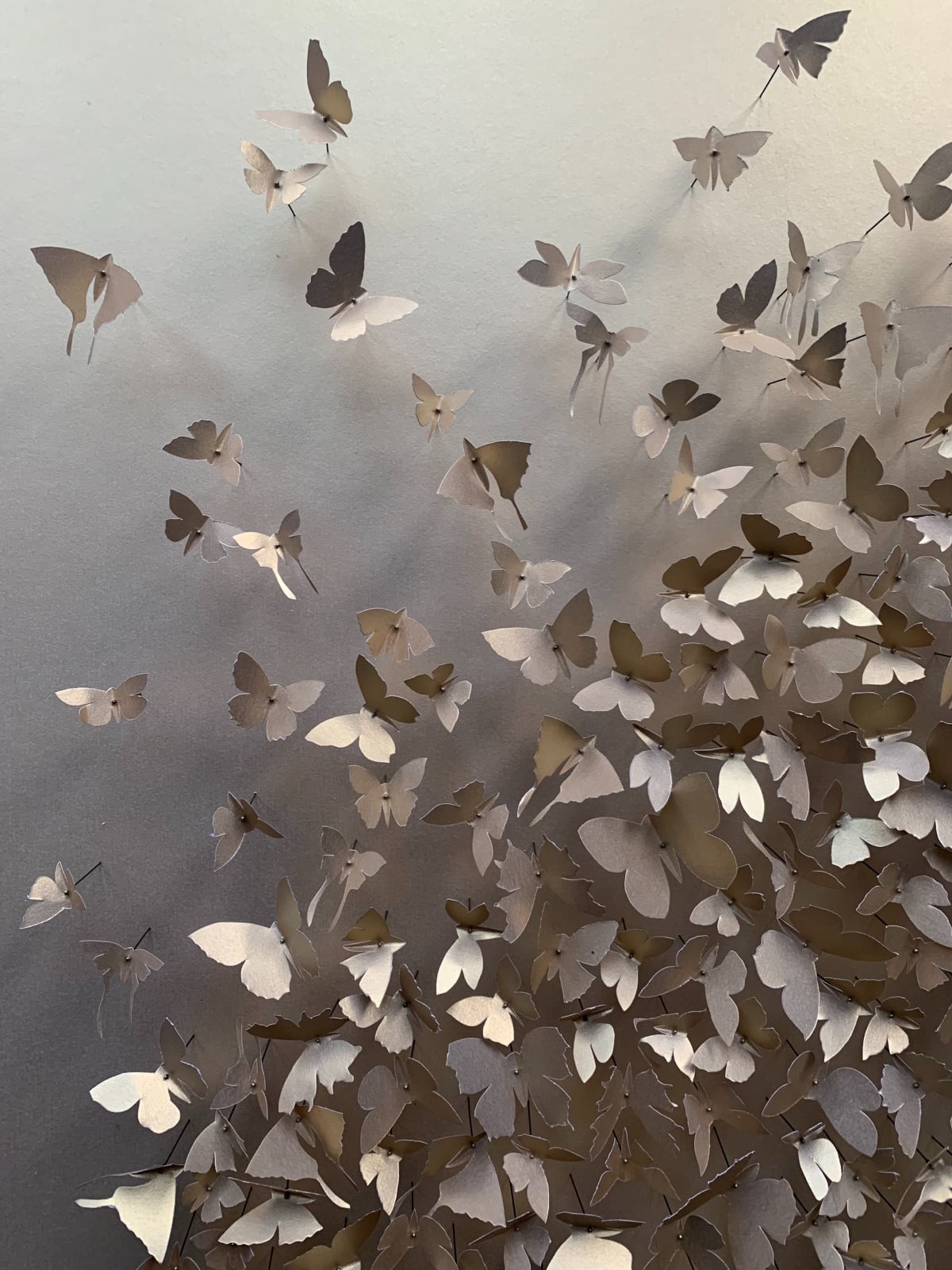 Rebecca J Coles, Gold 02