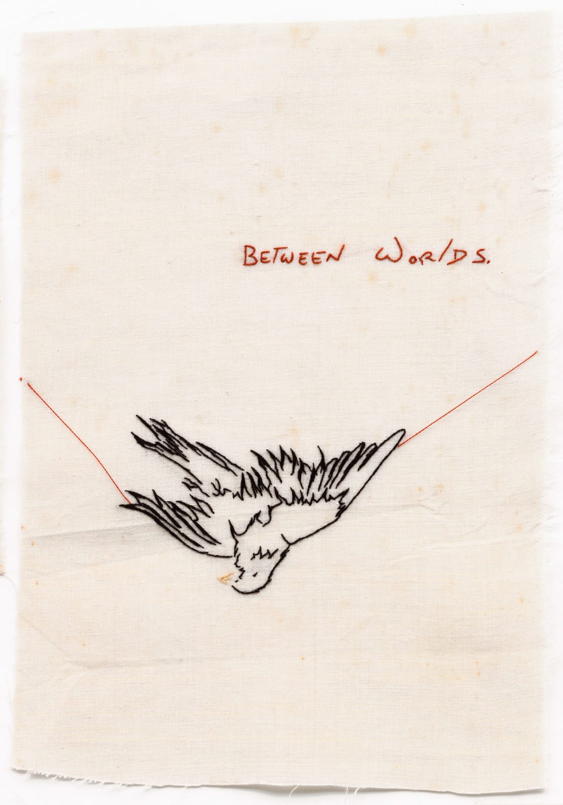 Domino Whisker, Between Worlds