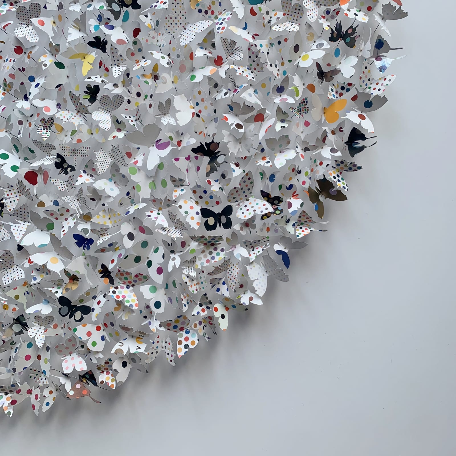 Rebecca J Coles, Spot 03