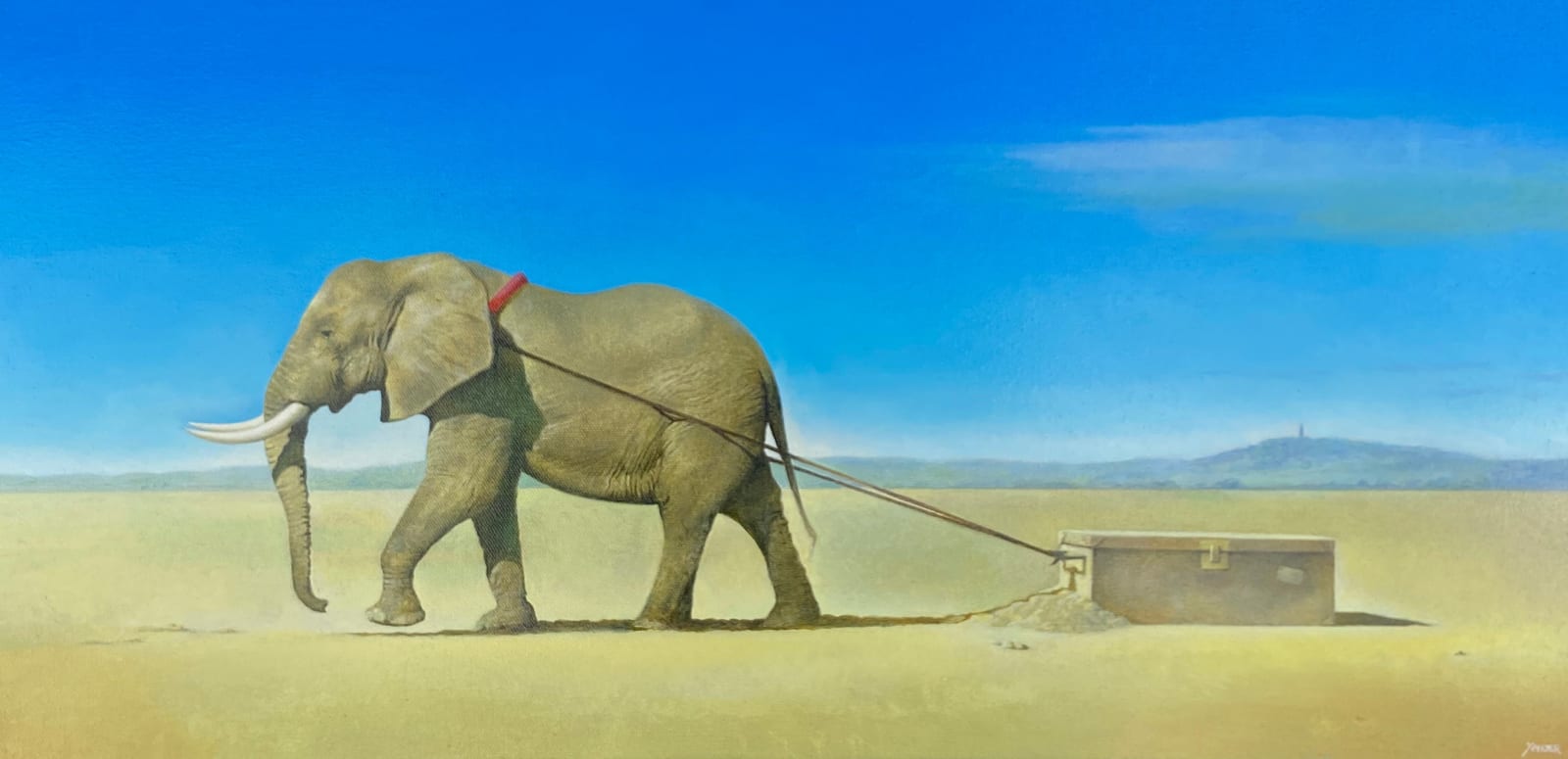 Xander, The Traveller, 2025