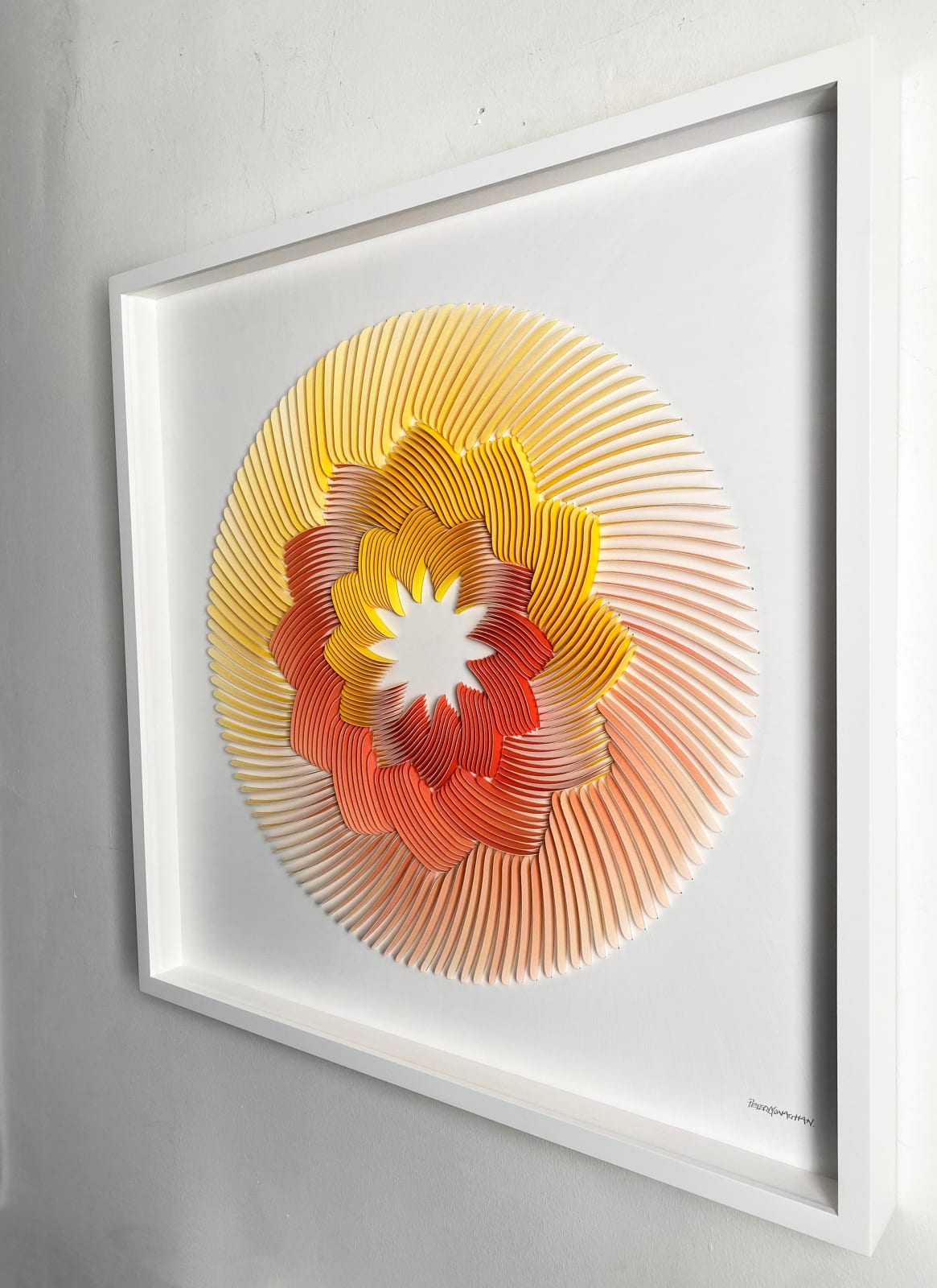 Peter Monaghan, Red and Yellow Rose