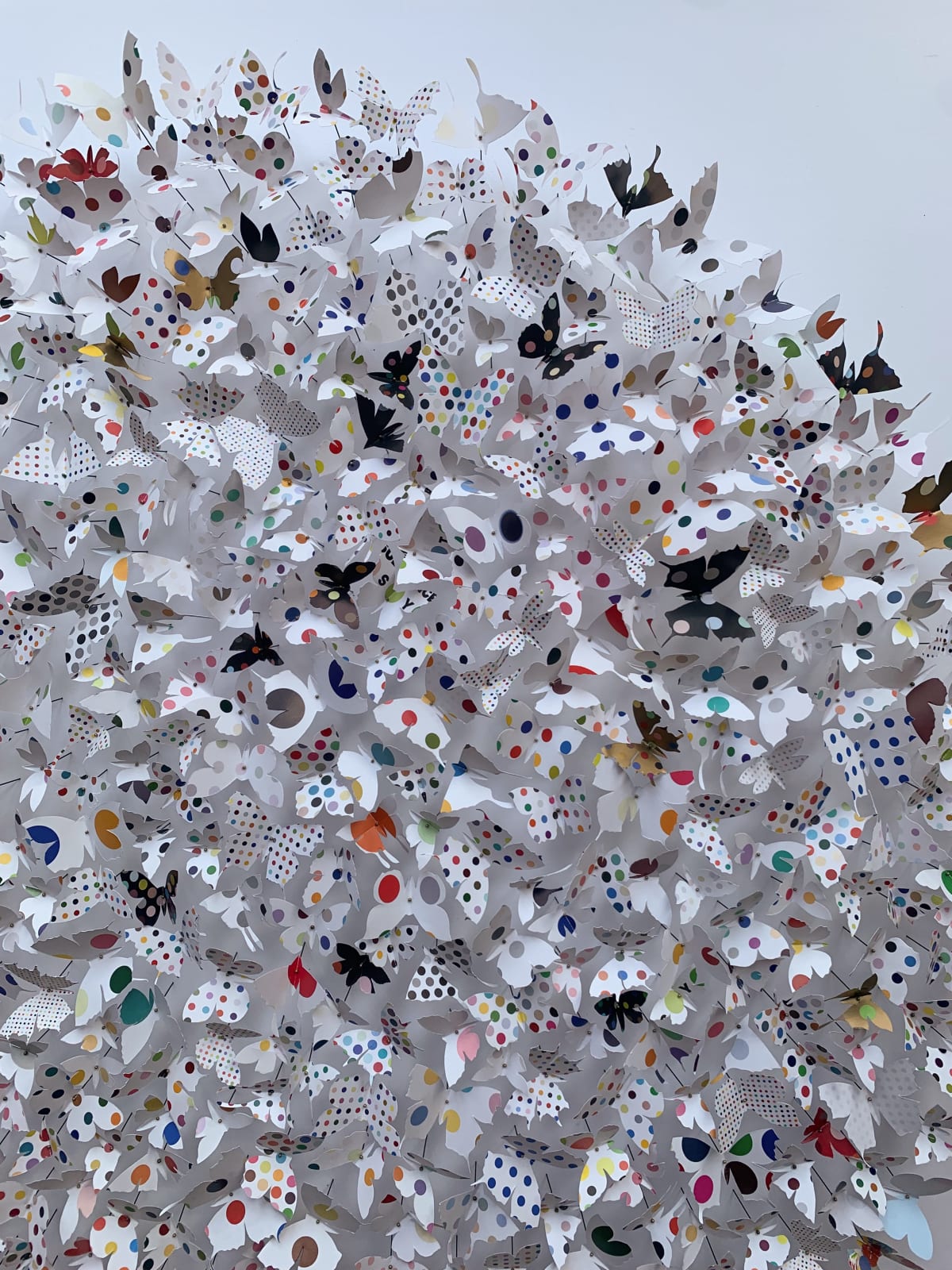 Rebecca J Coles, Spot 02