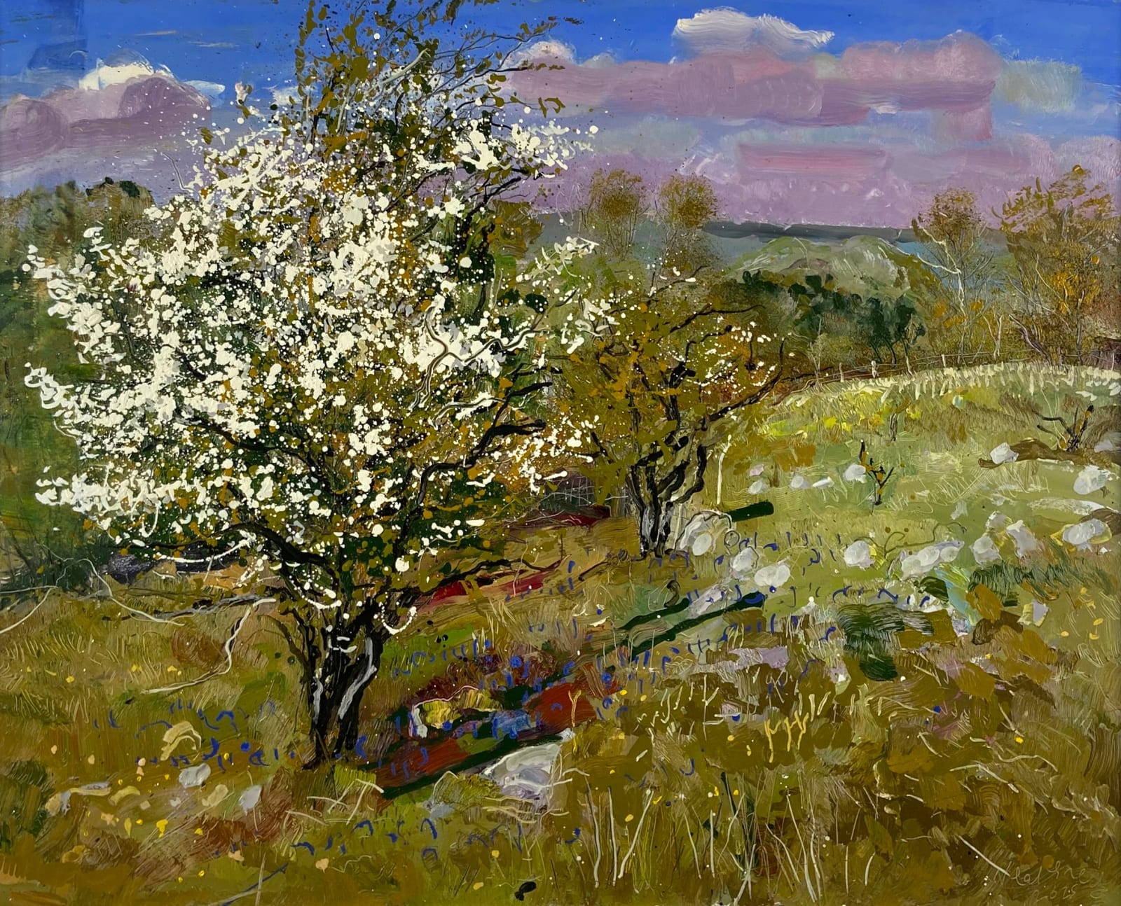 Neal Greig RUA, Cuilcagh Mountain Park