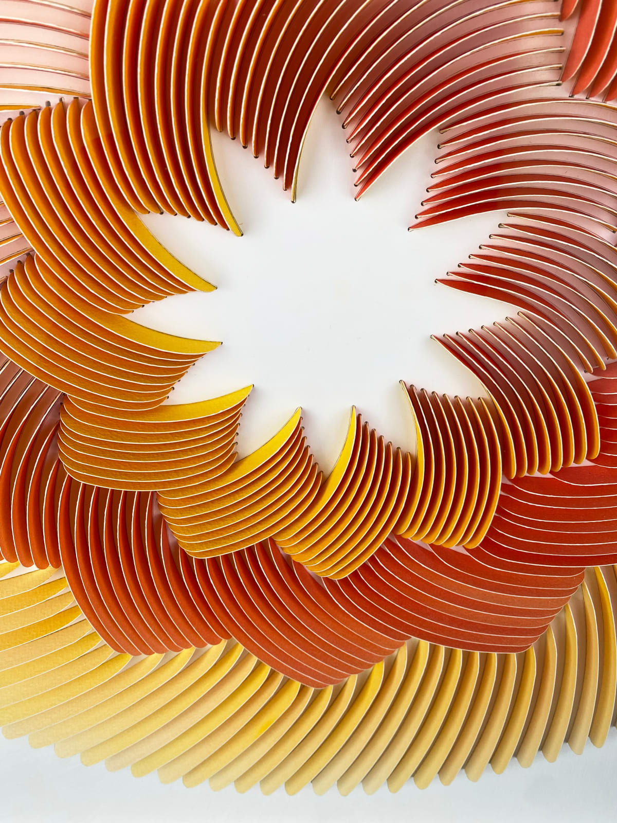 Peter Monaghan, Red and Yellow Rose