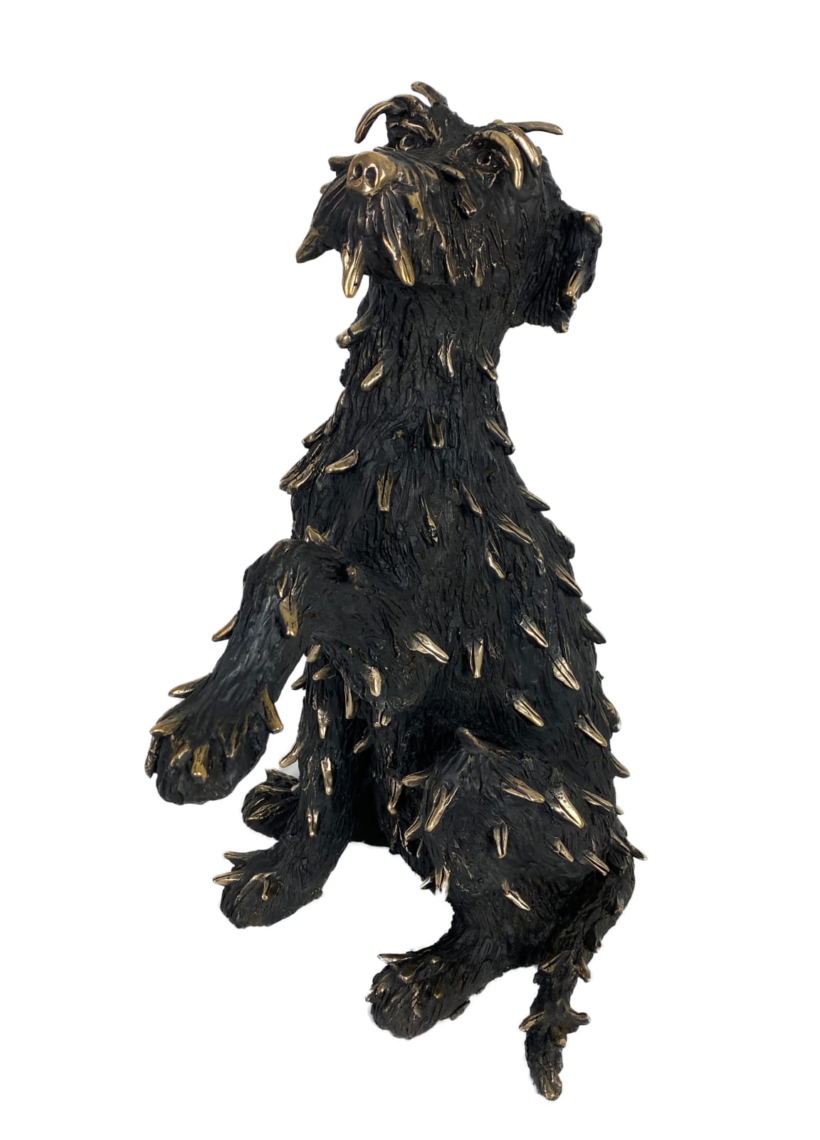 Patrick O'Reilly, Treat Please