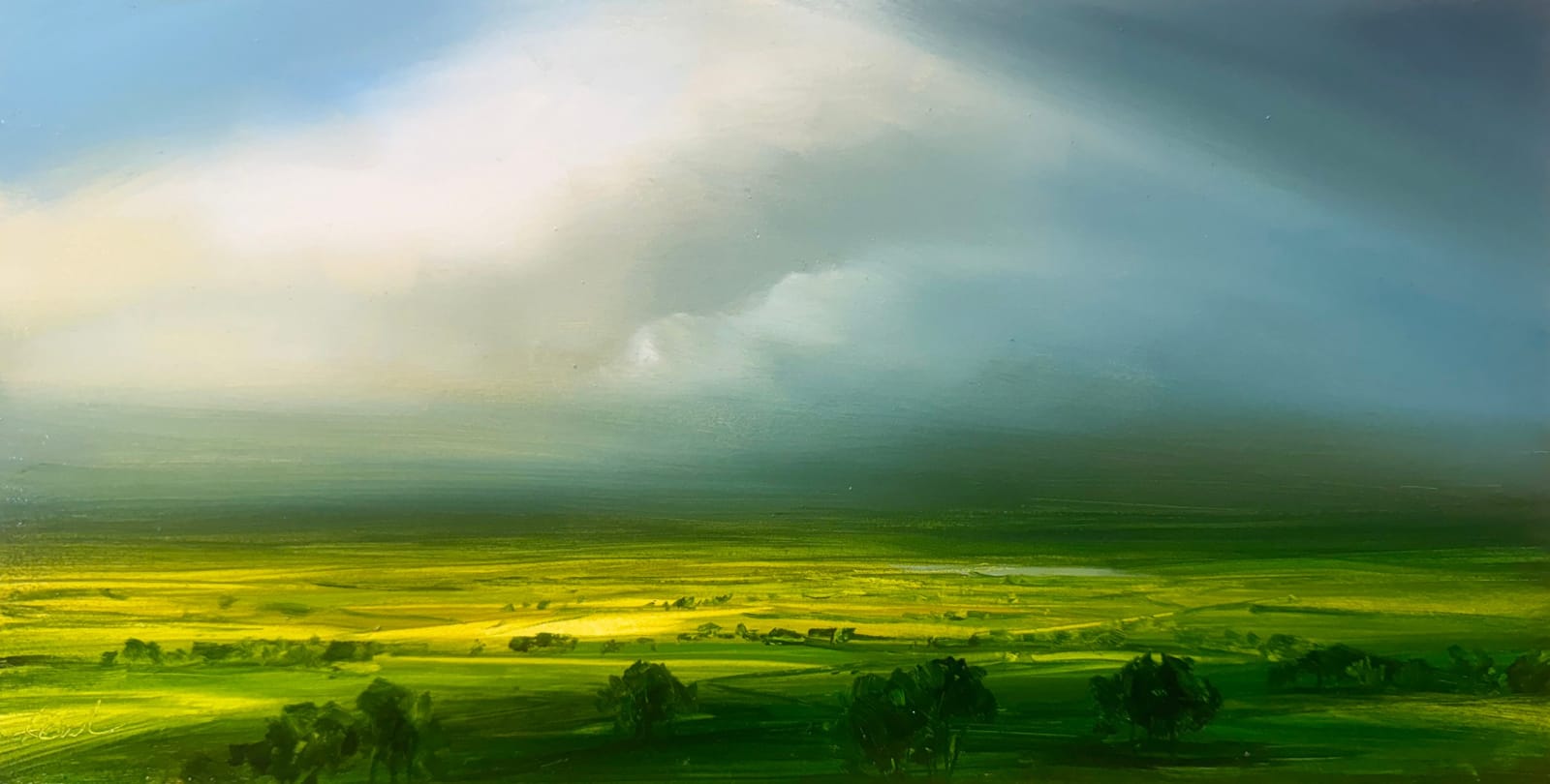 Harry Brioche, Late Afternoon Sun