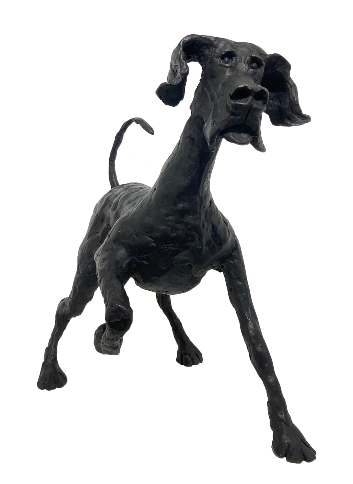 John Fitzgerald, Lucky Charm