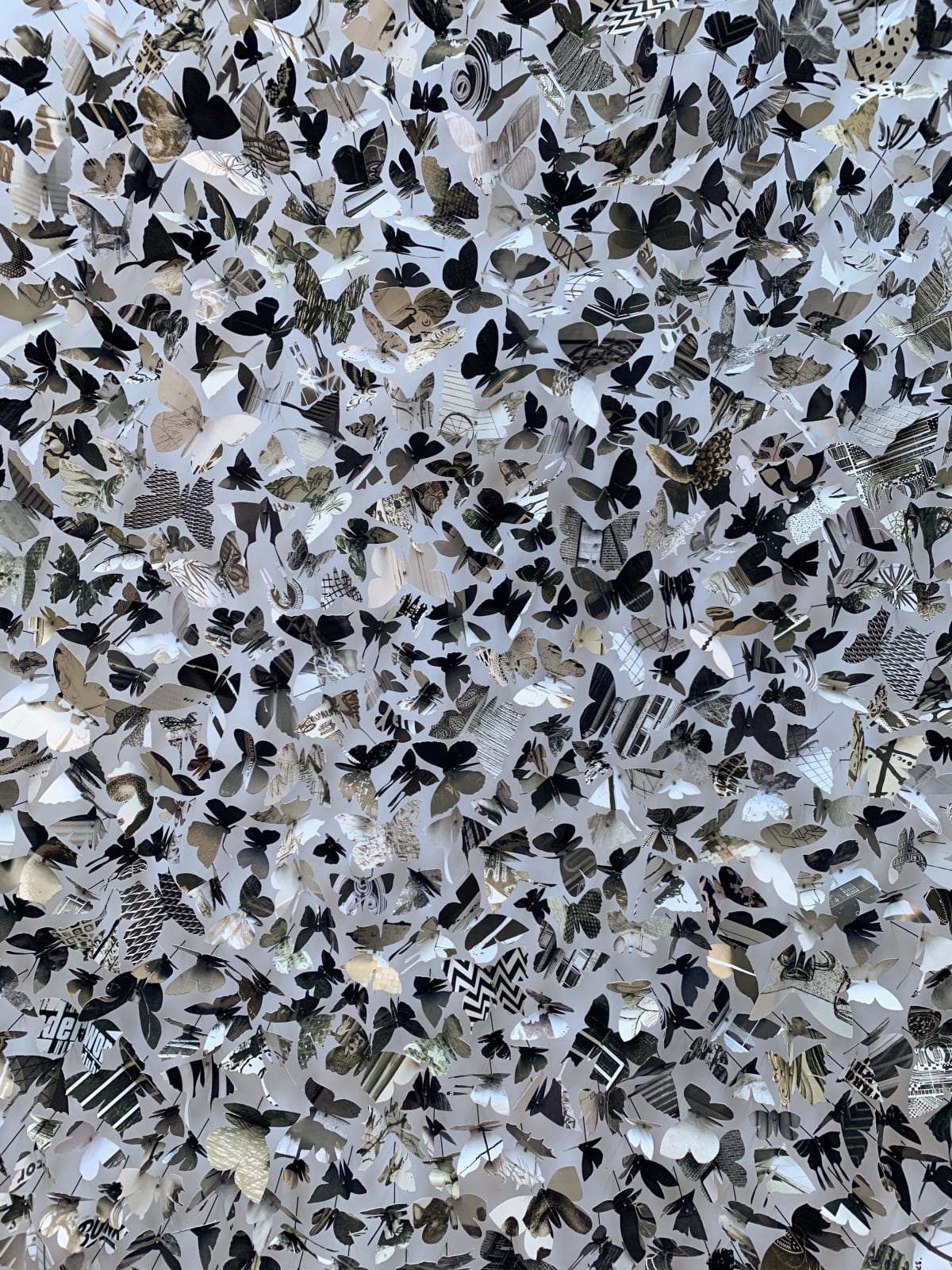 Rebecca J Coles, Black & White 02