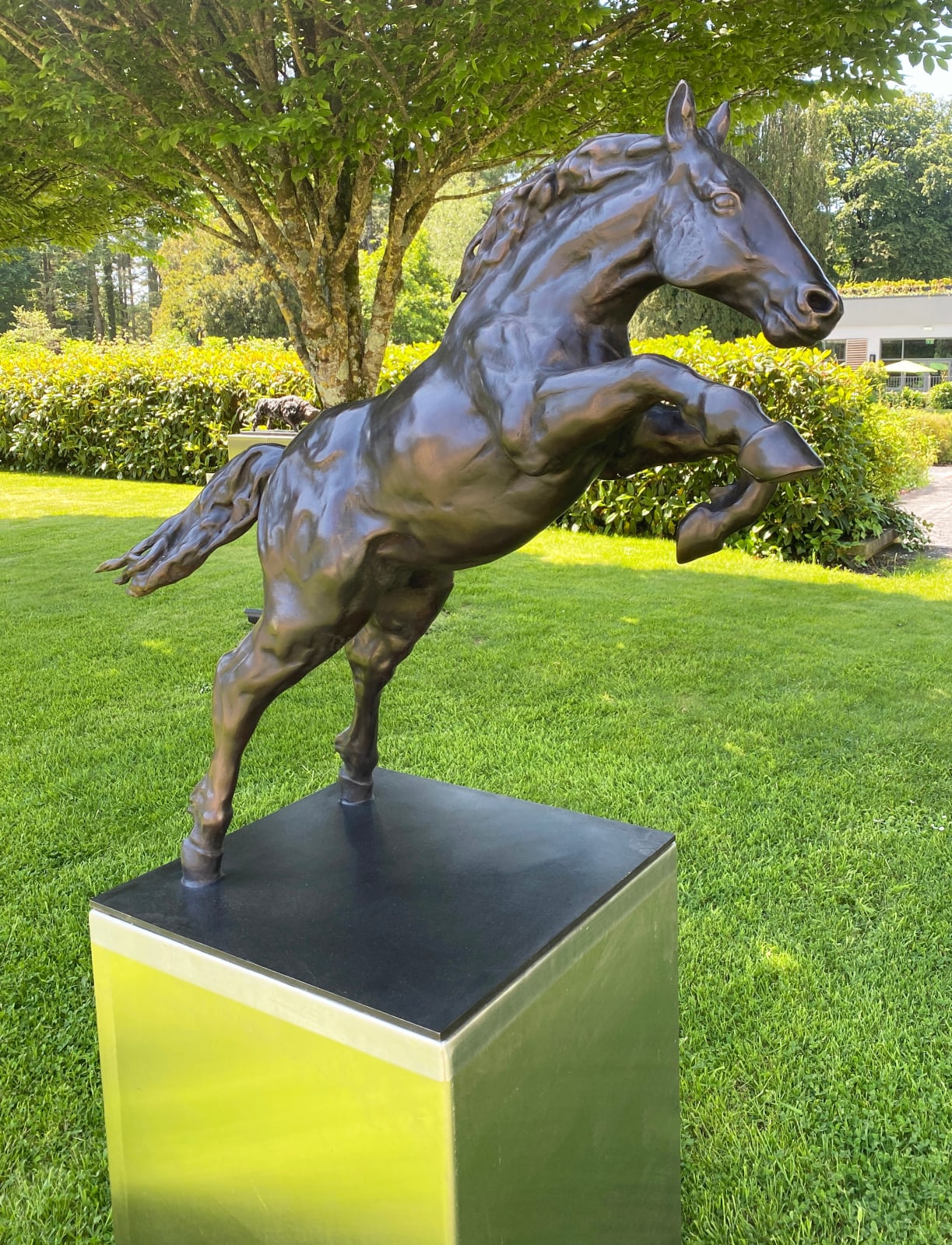 John Fitzgerald, Leap of Faith | One More Edition Available