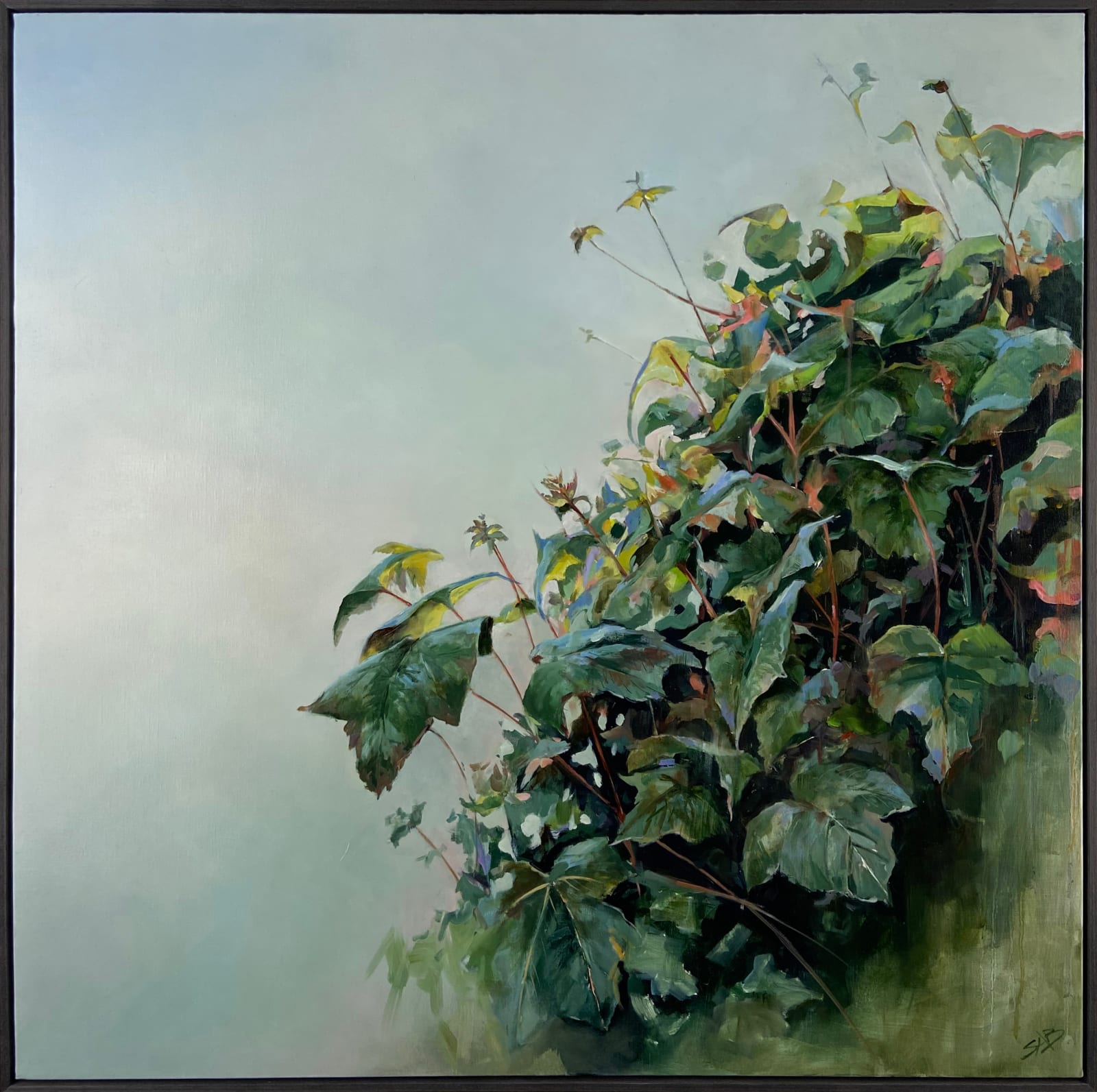 Sallyann Beirne, Roadside Saplings