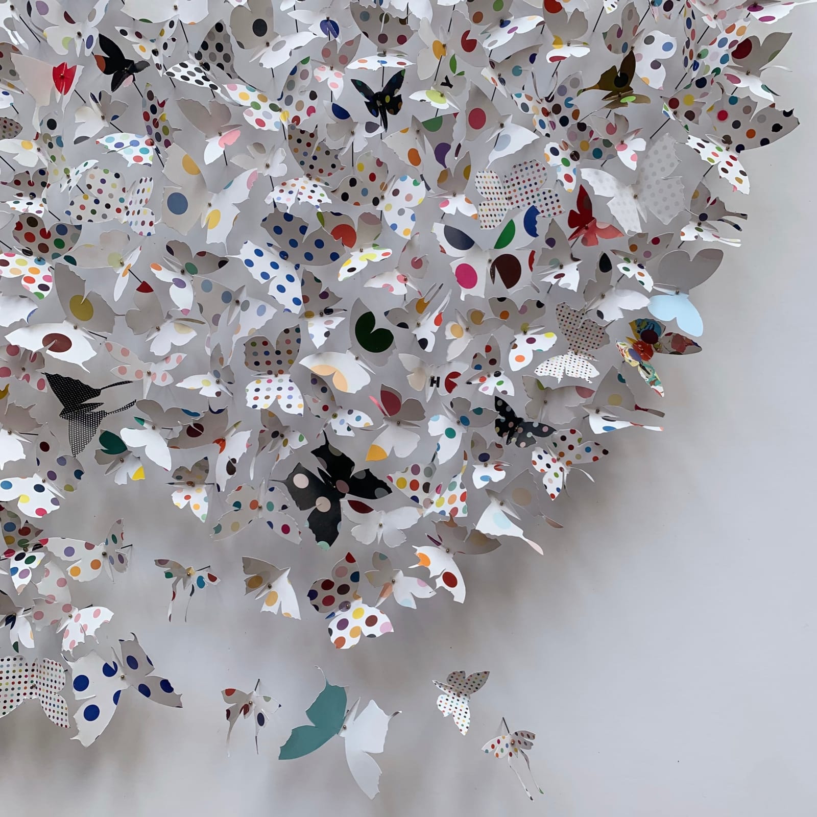 Rebecca J Coles, Spot 02