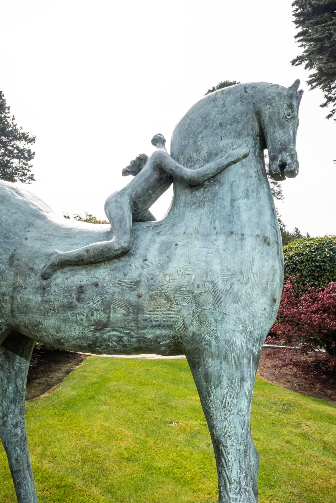 Paolo Staccioli, Horse, Un Cavallo