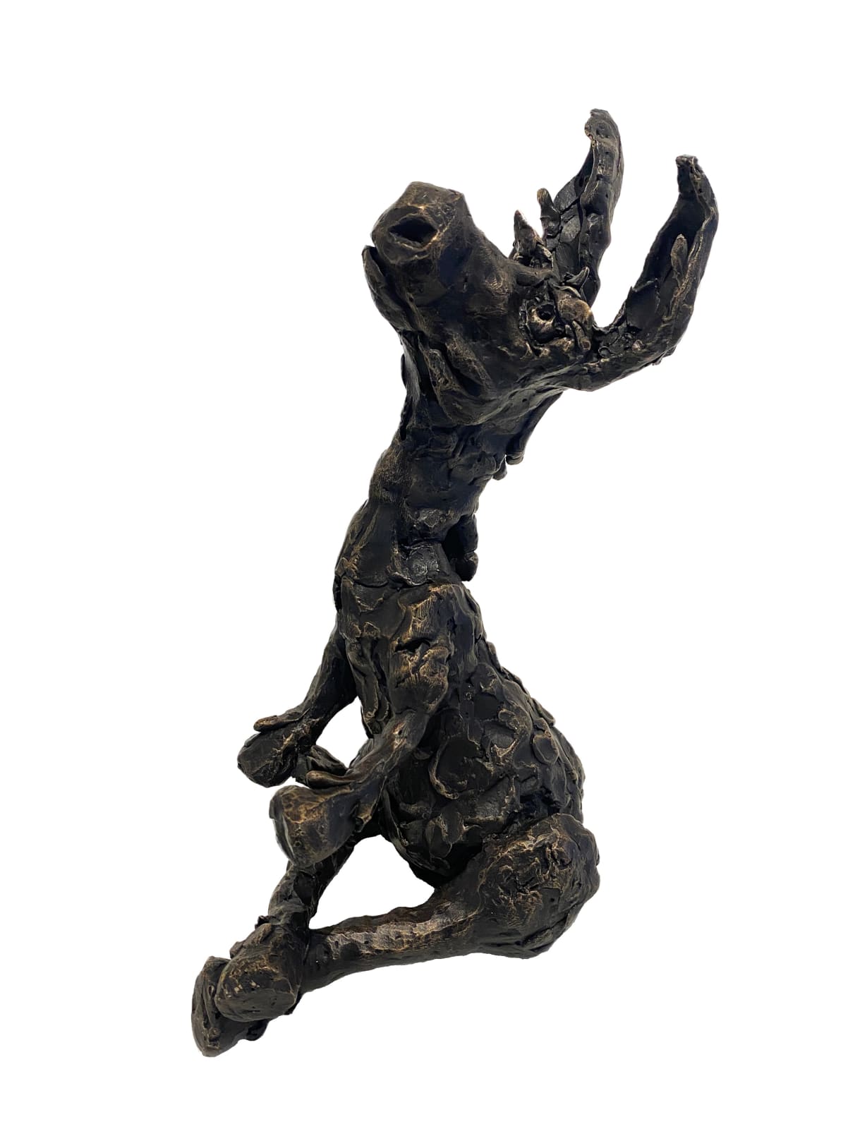 Patrick O'Reilly, Donkey