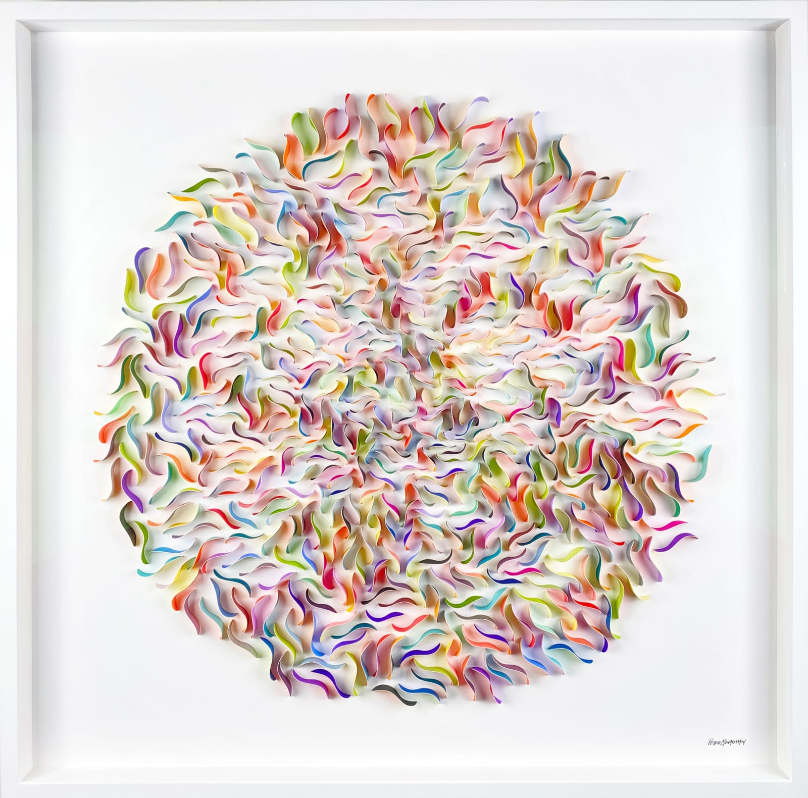 Peter Monaghan, Petals I