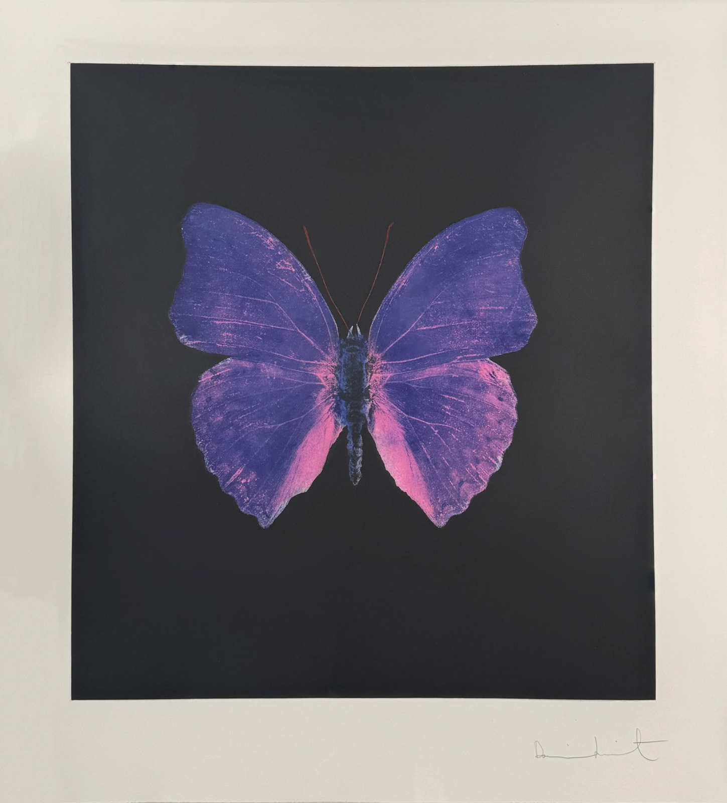 Damien Hirst, The Souls on Jacob's Ladder Take Their Flight (Large Blue),, 2007