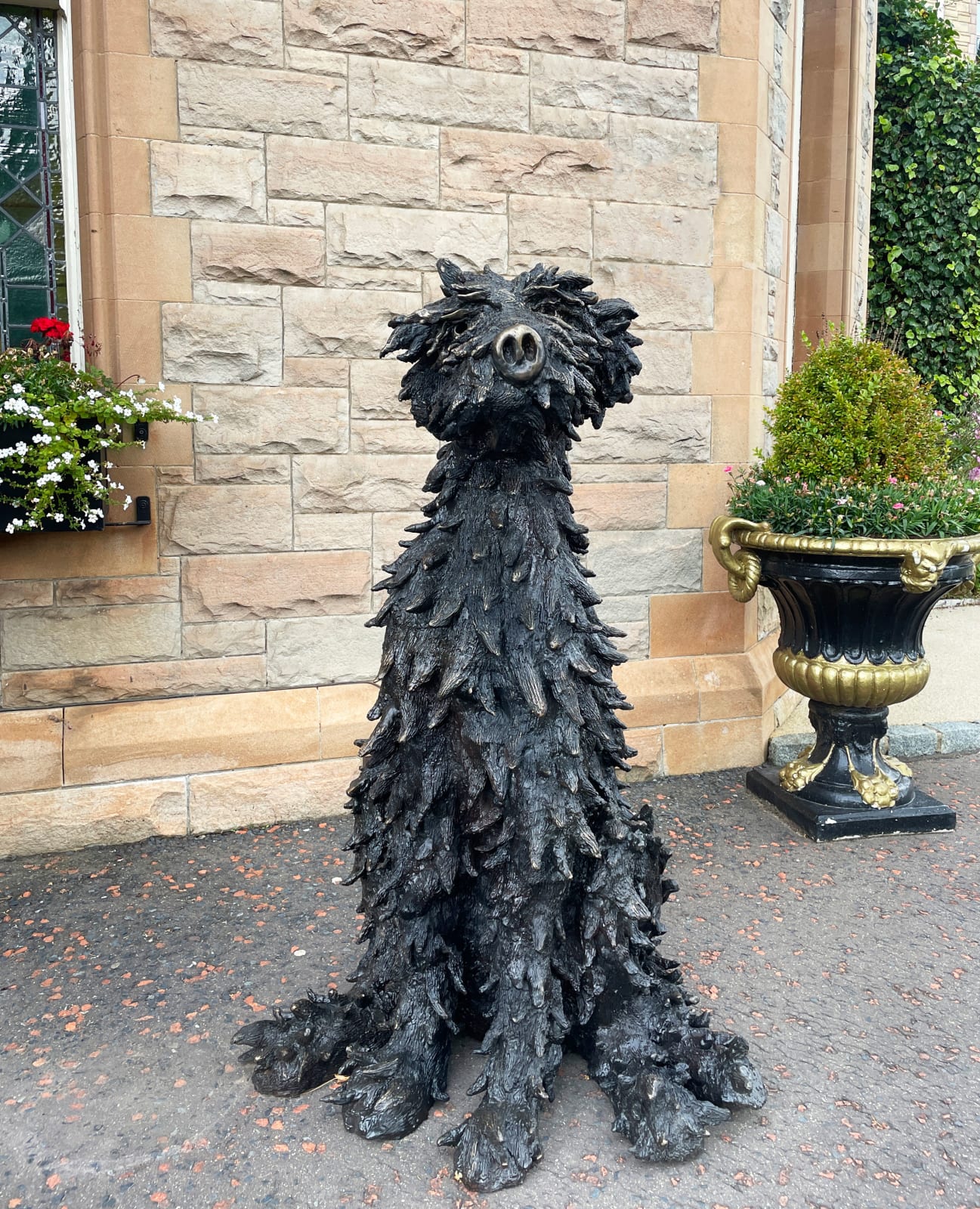 Patrick O'Reilly, Irish Wolfhound