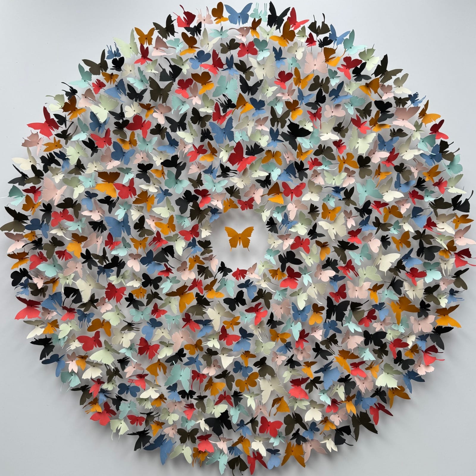 Rebecca J Coles, Colour Theory V