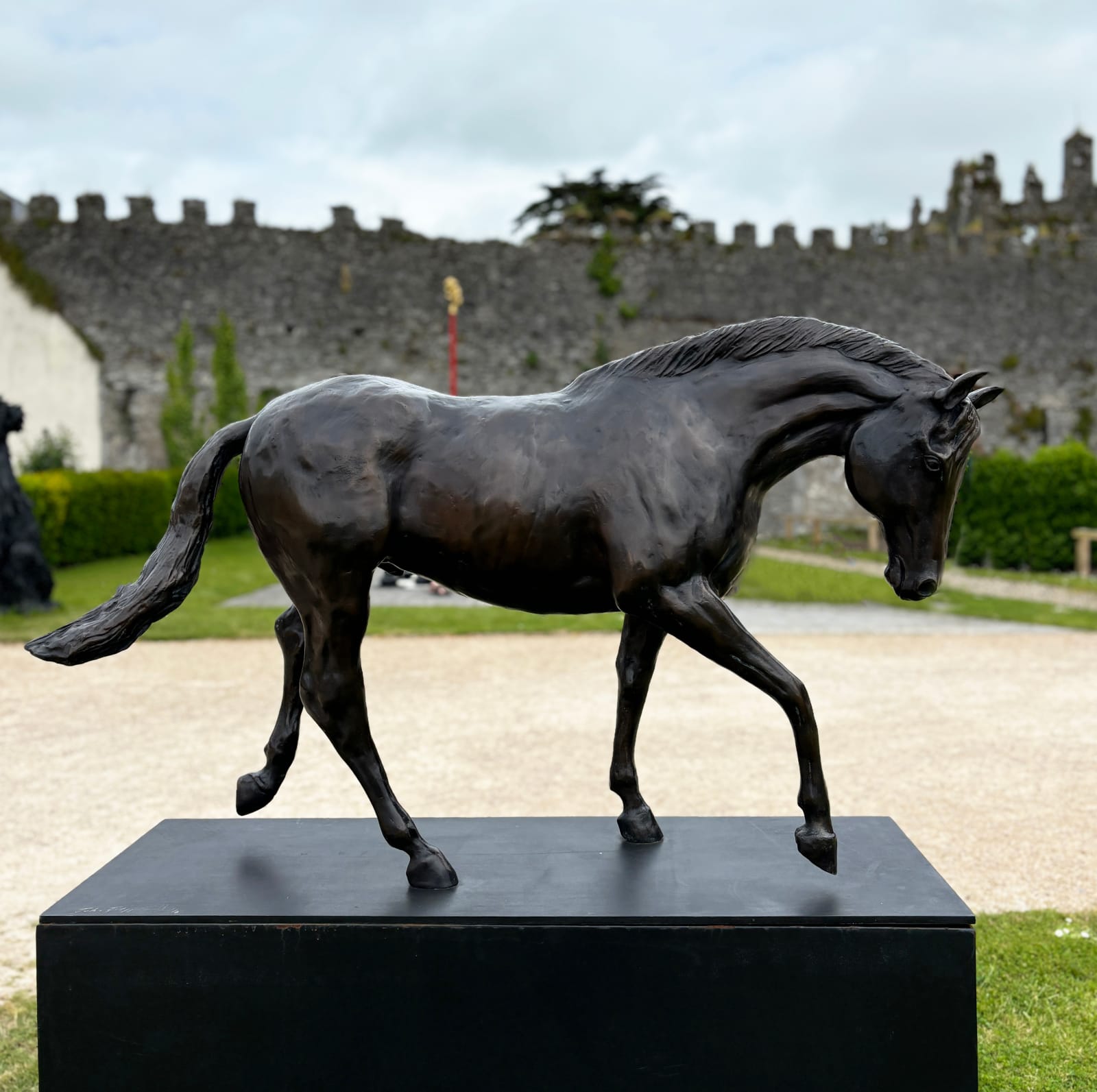 John Fitzgerald, The Stallion