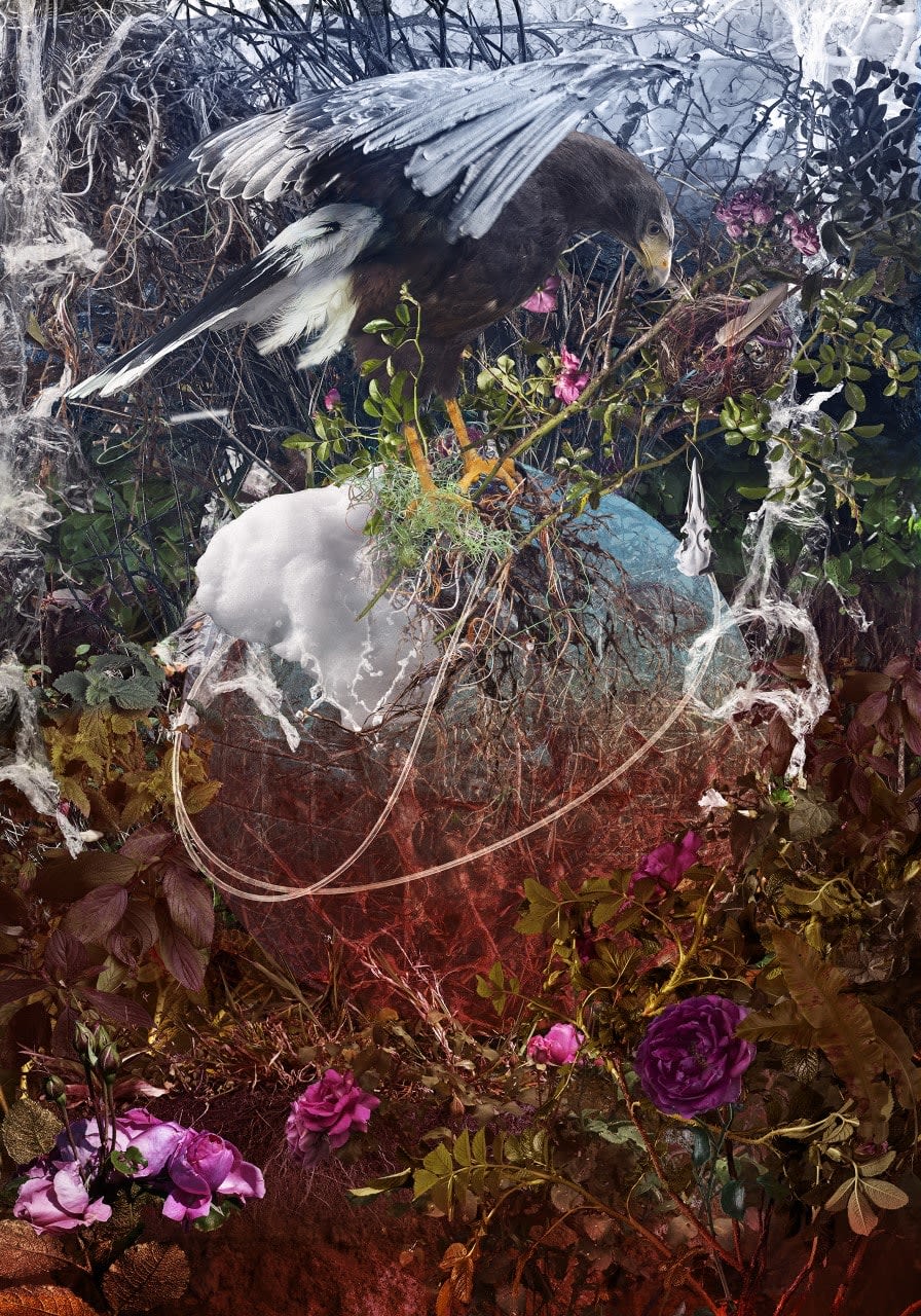 Christine Simpson, Entangled