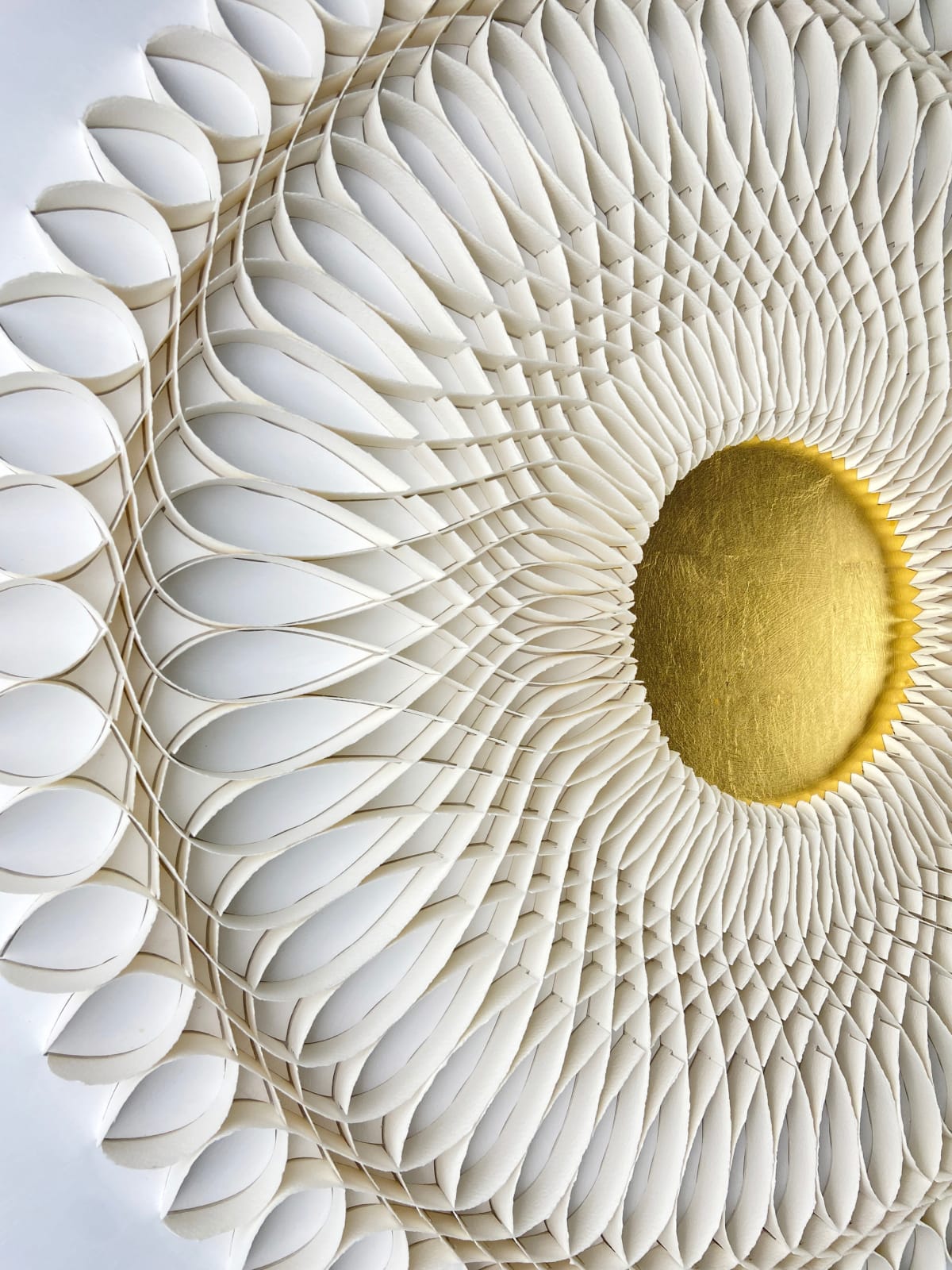 Peter Monaghan, Light Fold