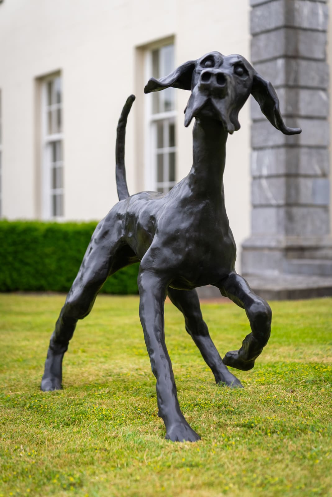 John Fitzgerald, Lucky