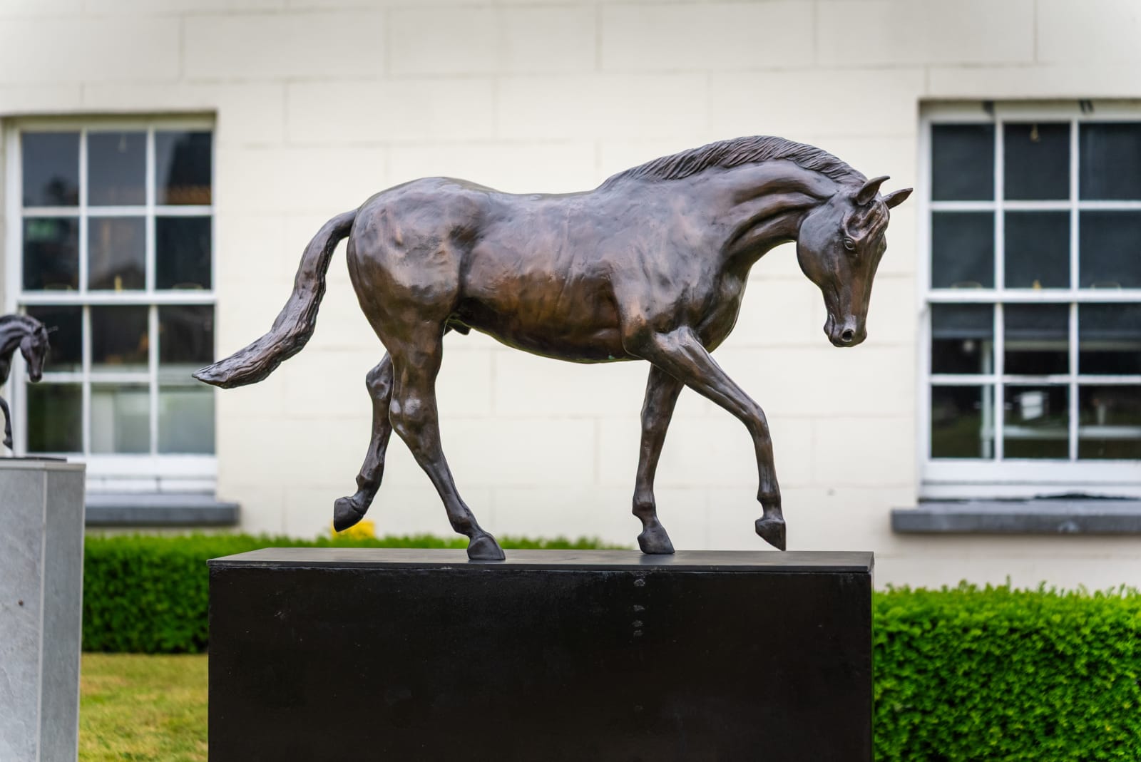 John Fitzgerald, The Stallion