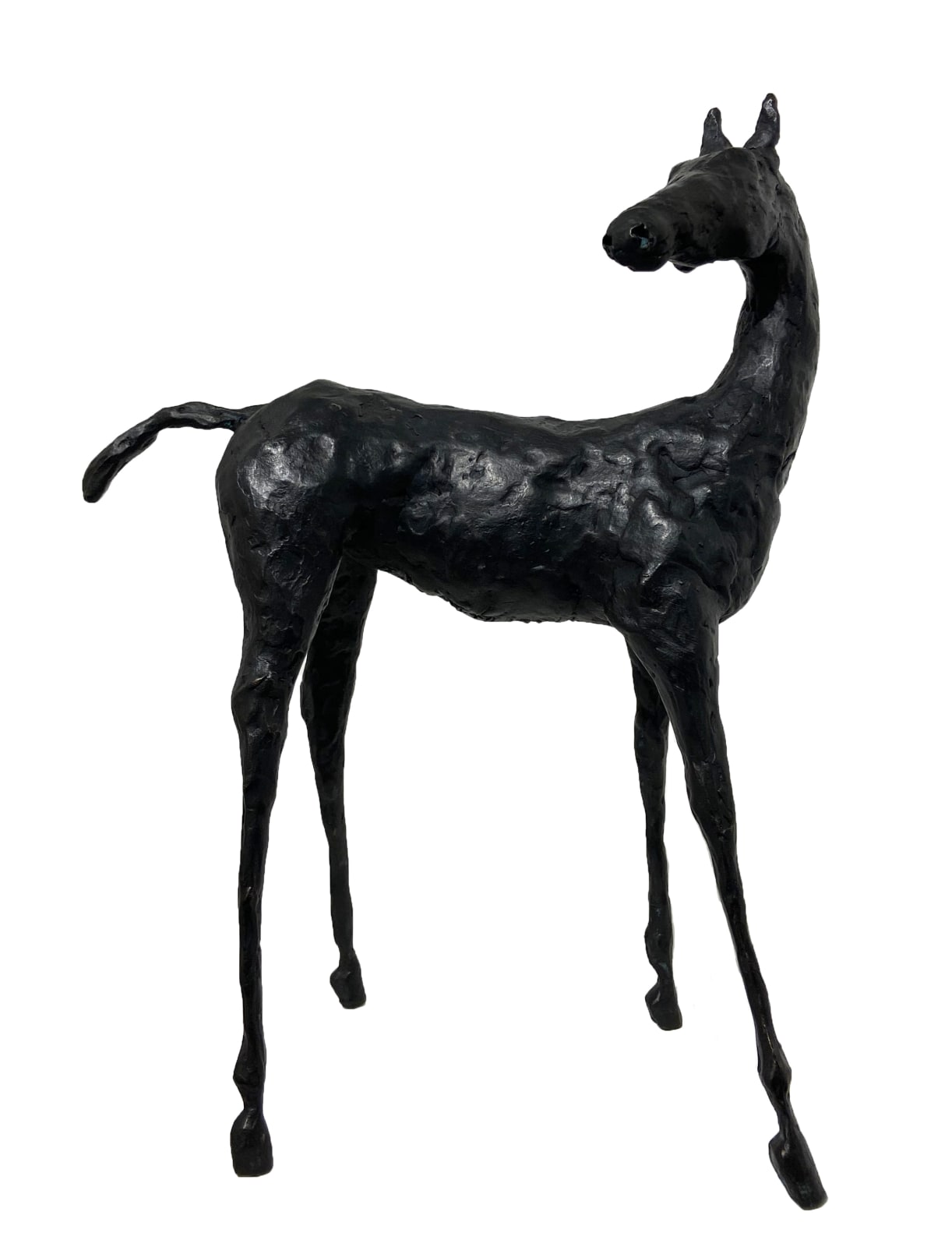 John Fitzgerald, The Seeker